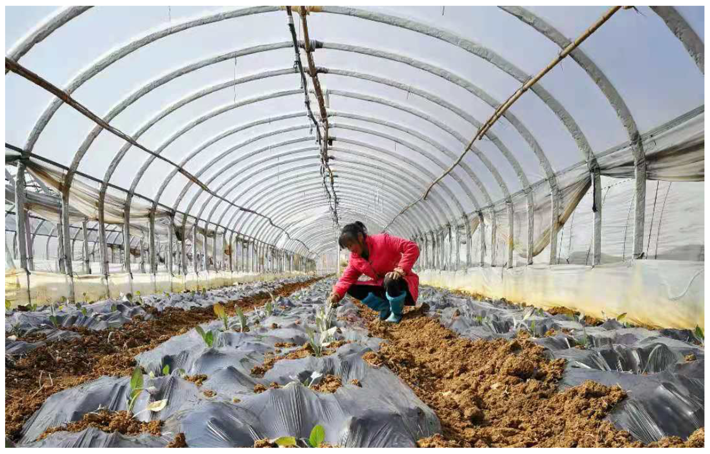 Sustainability 13 01603 g001