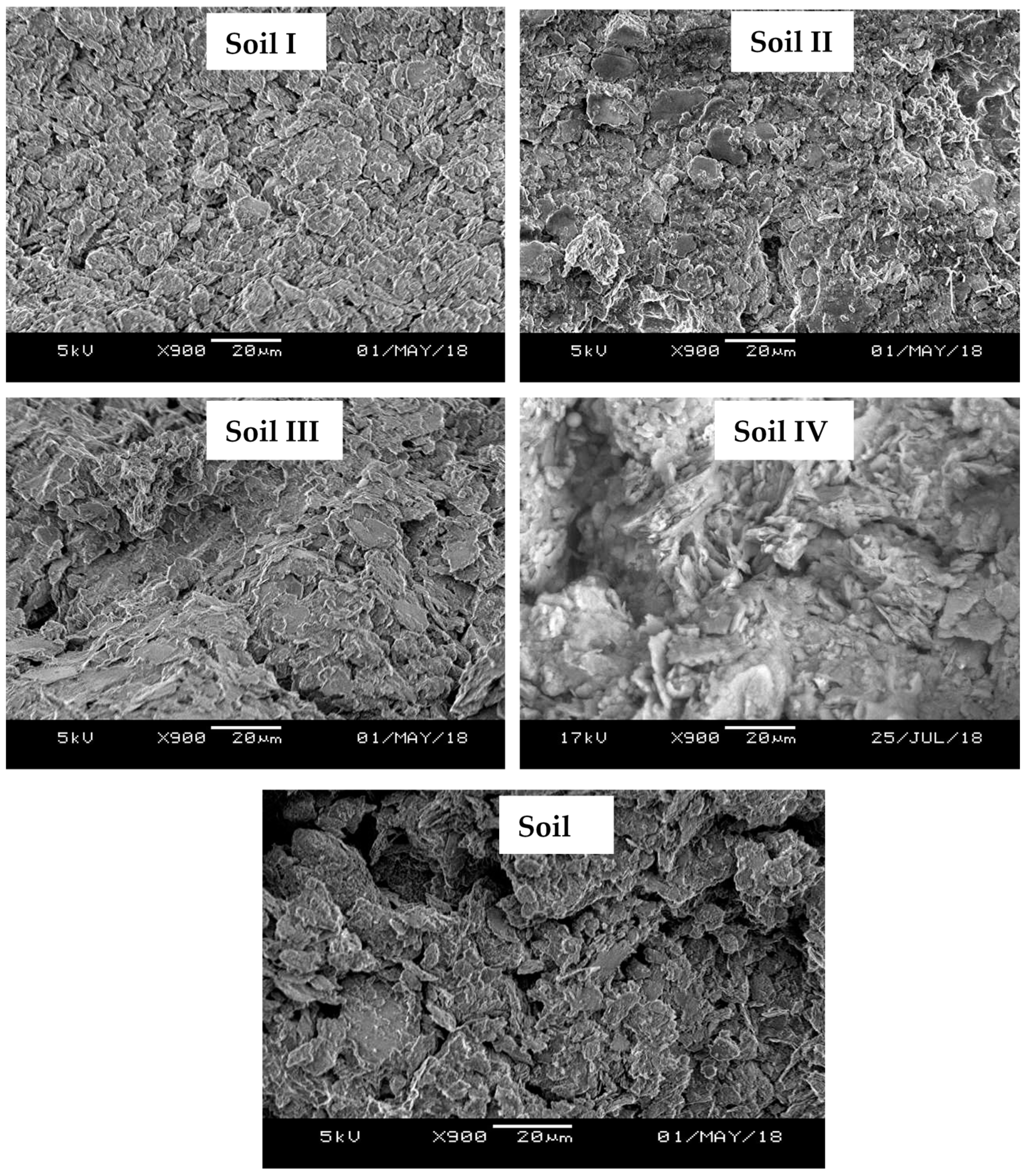 Sustainability 13 01617 g002 Sustainability 13 01617 g002