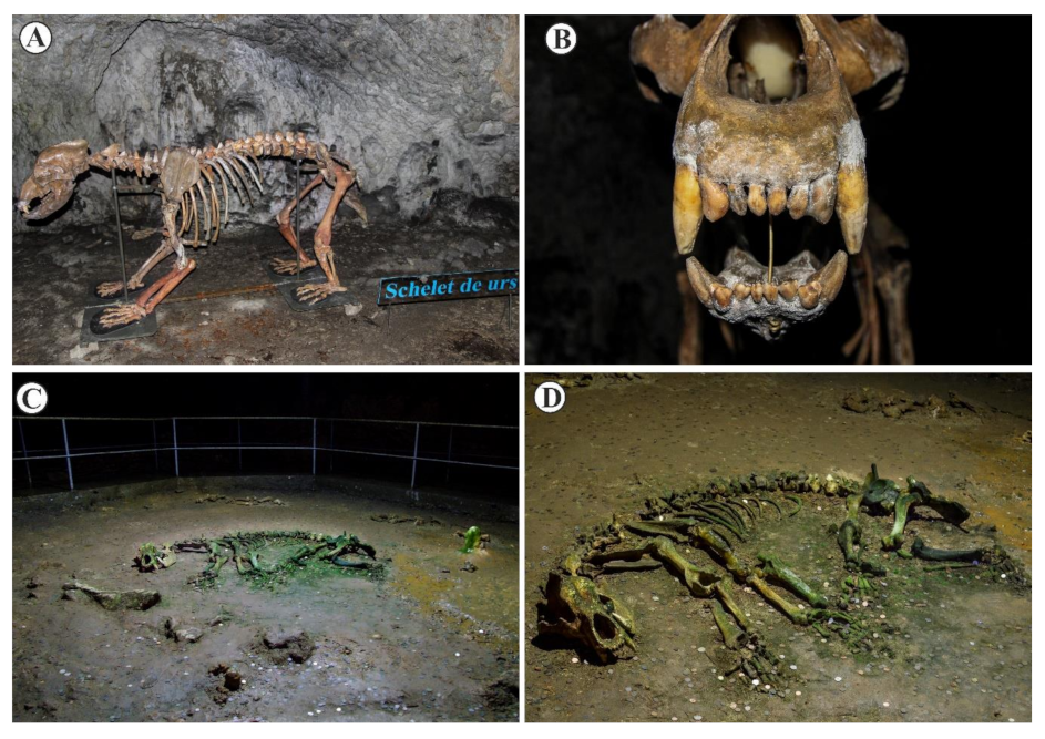Sustainability 13 01619 g004