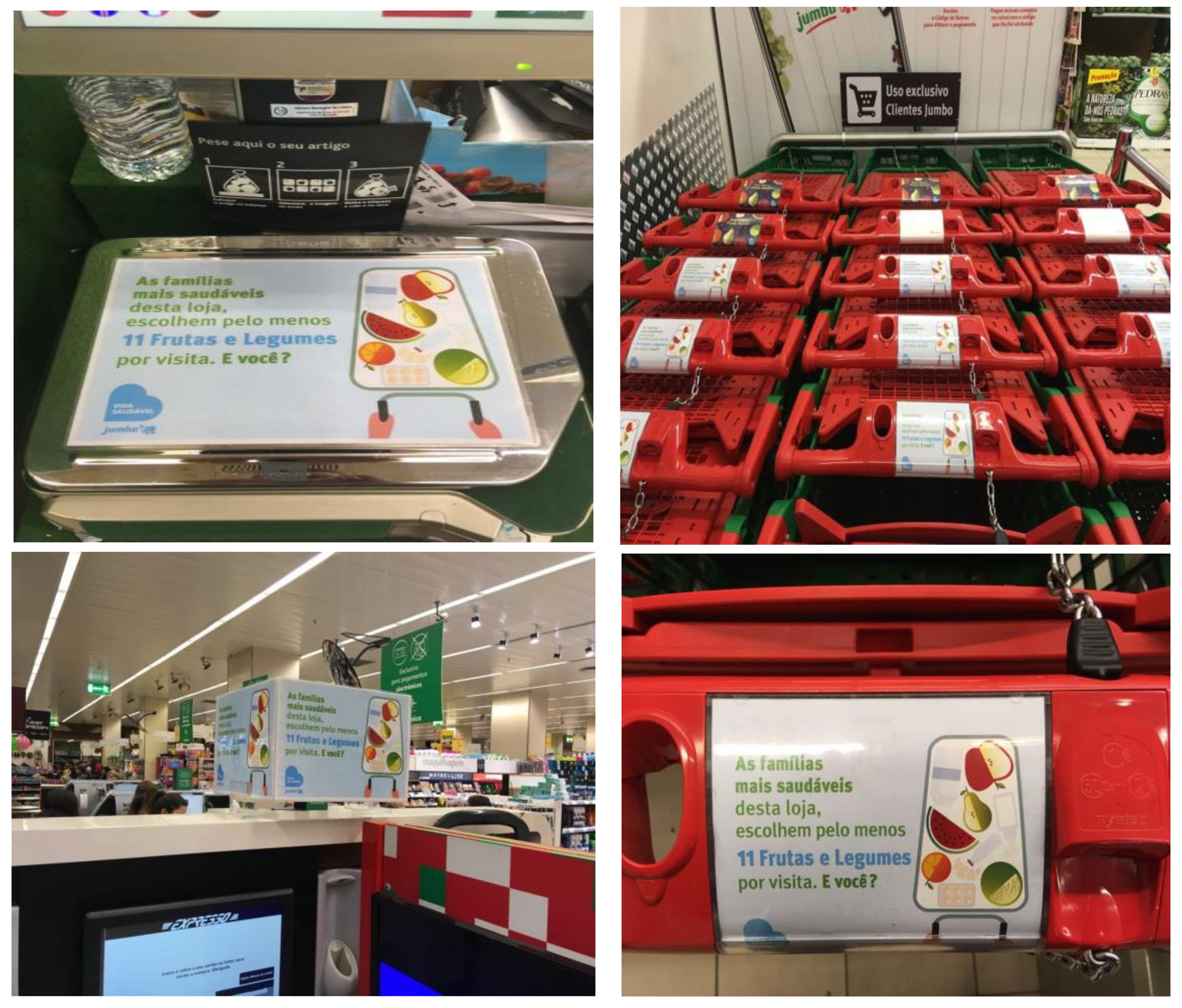 Sustainability 13 01660 g0a1