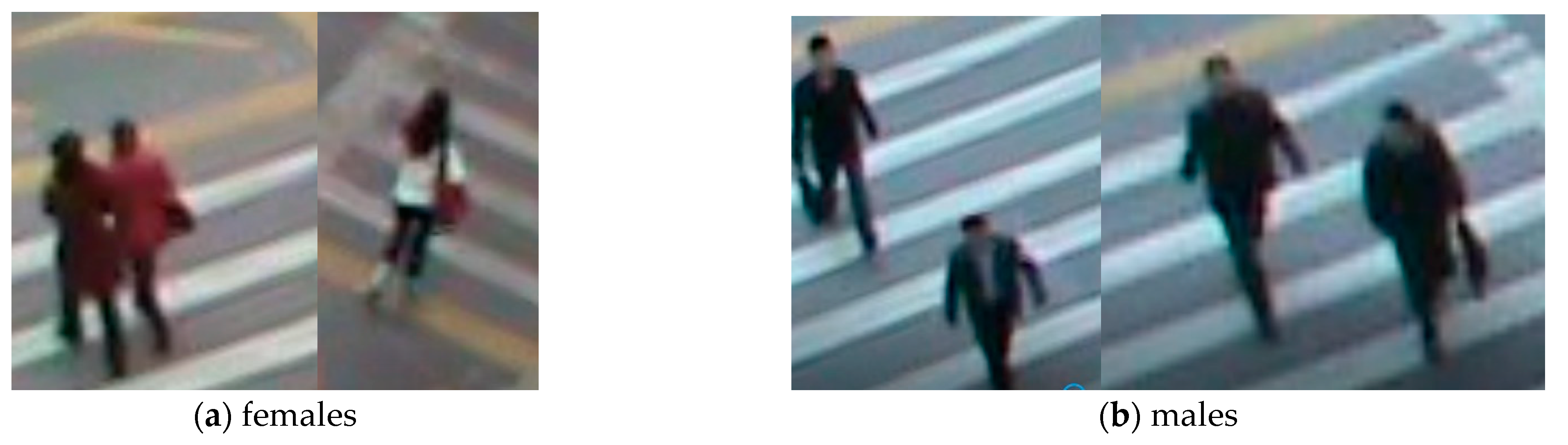 Sustainability 13 01695 g003