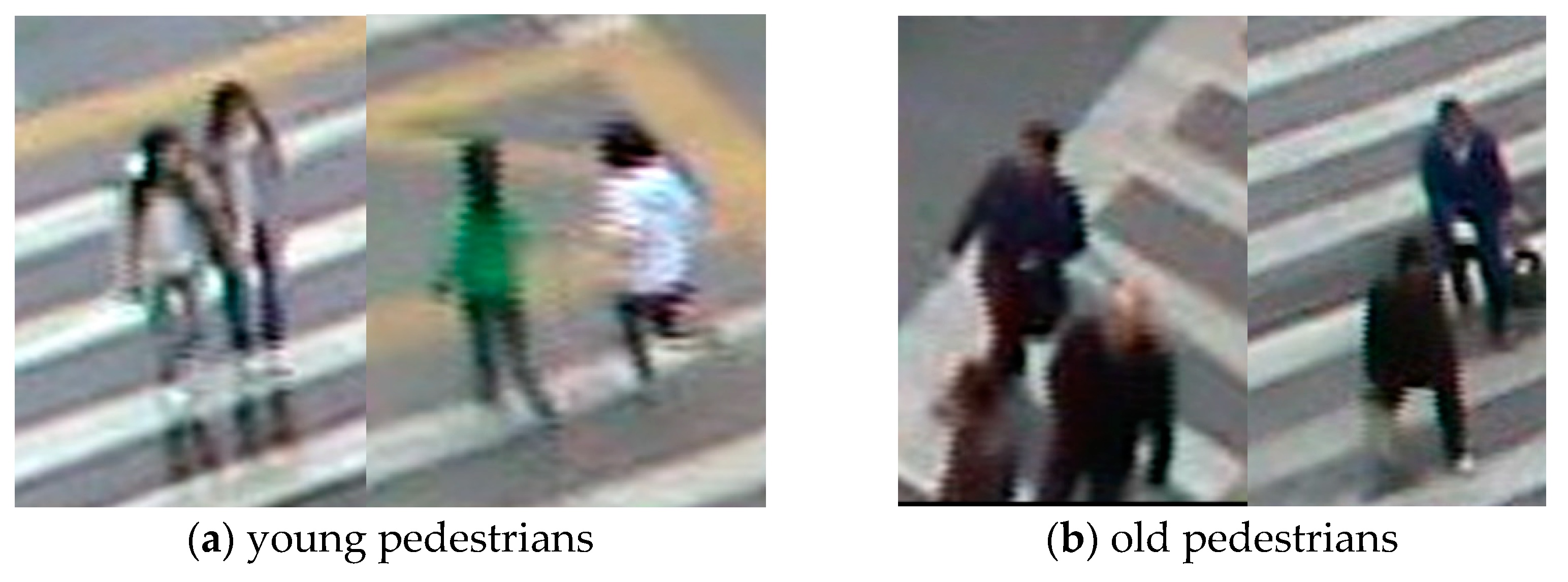 Sustainability 13 01695 g004