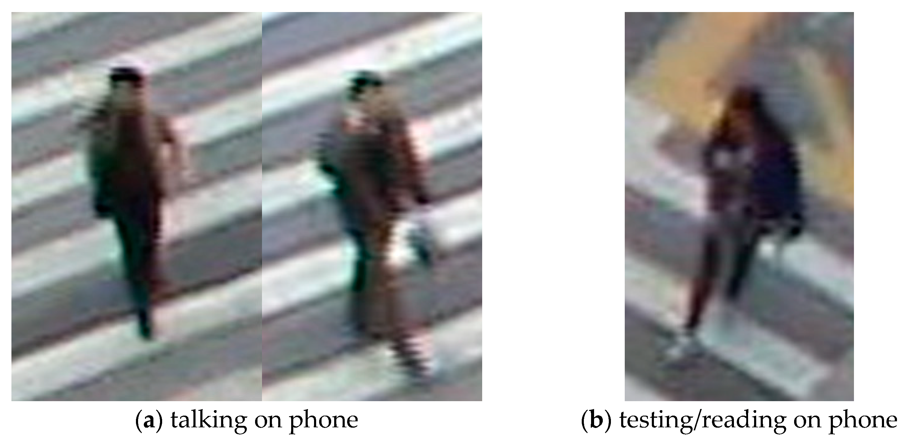 Sustainability 13 01695 g005