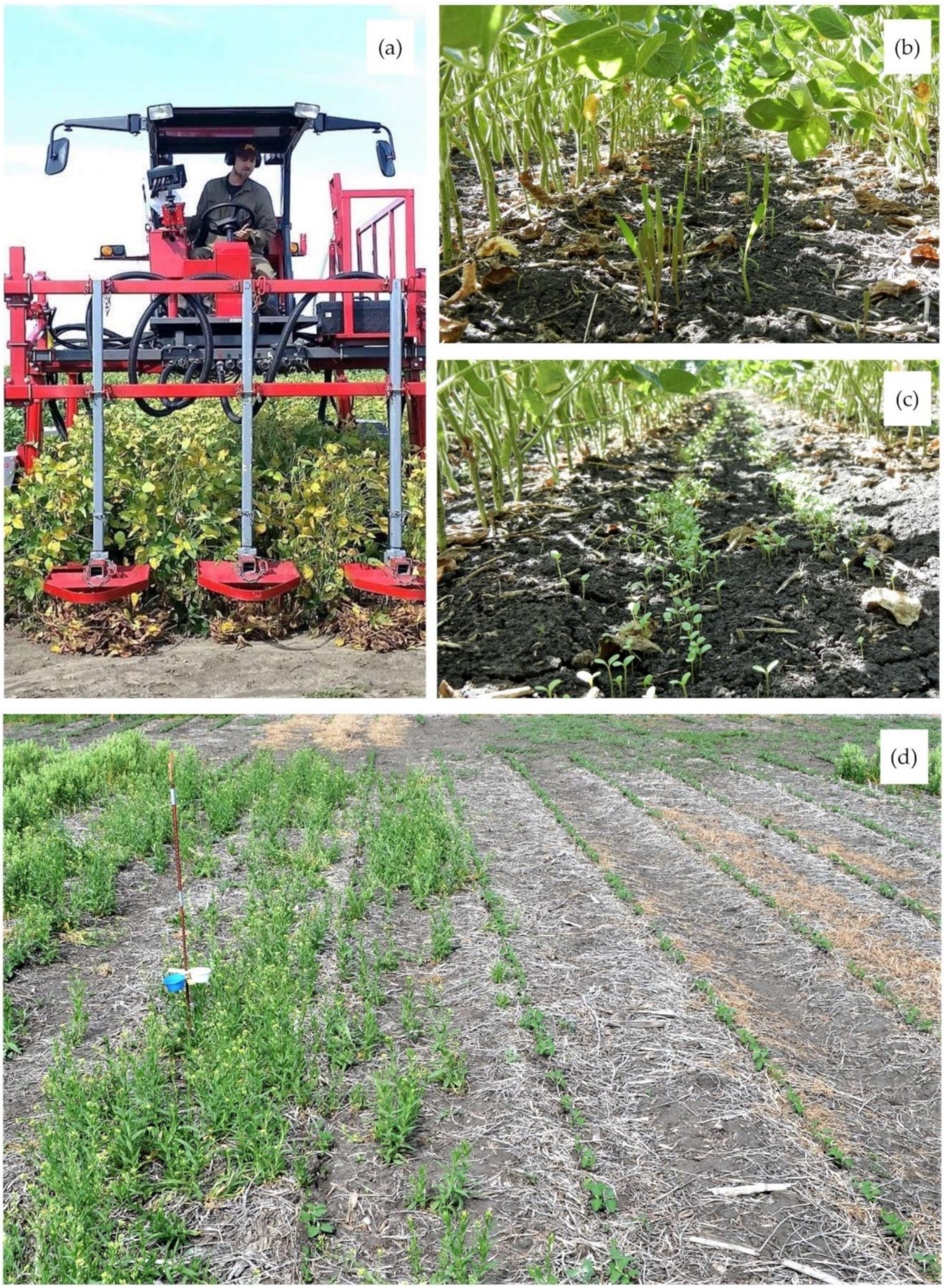 Sustainability 13 01696 g001