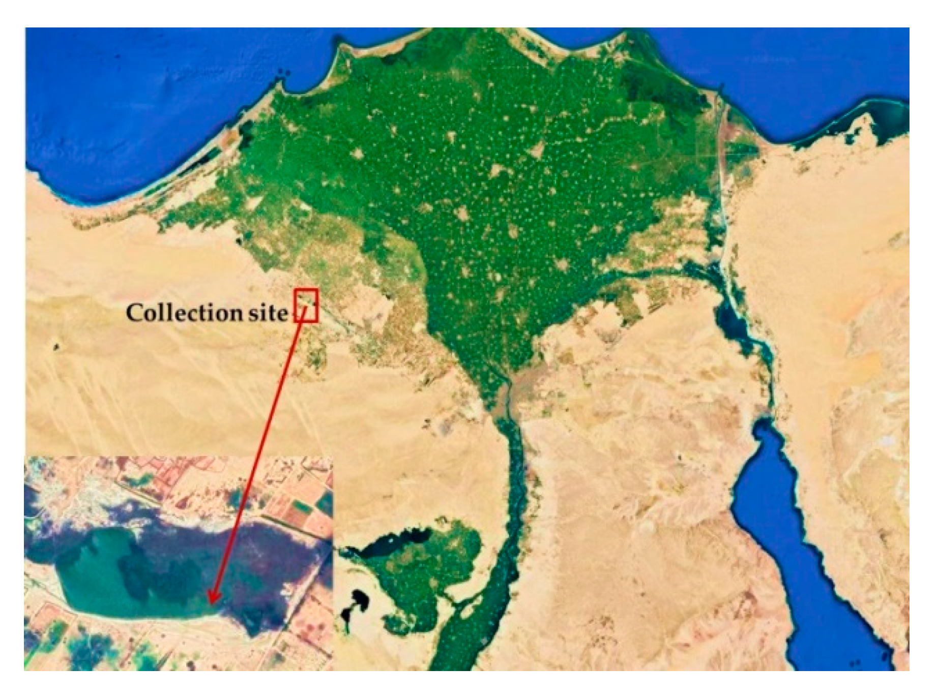 Sustainability 13 01769 g001 Sustainability 13 01769 g001