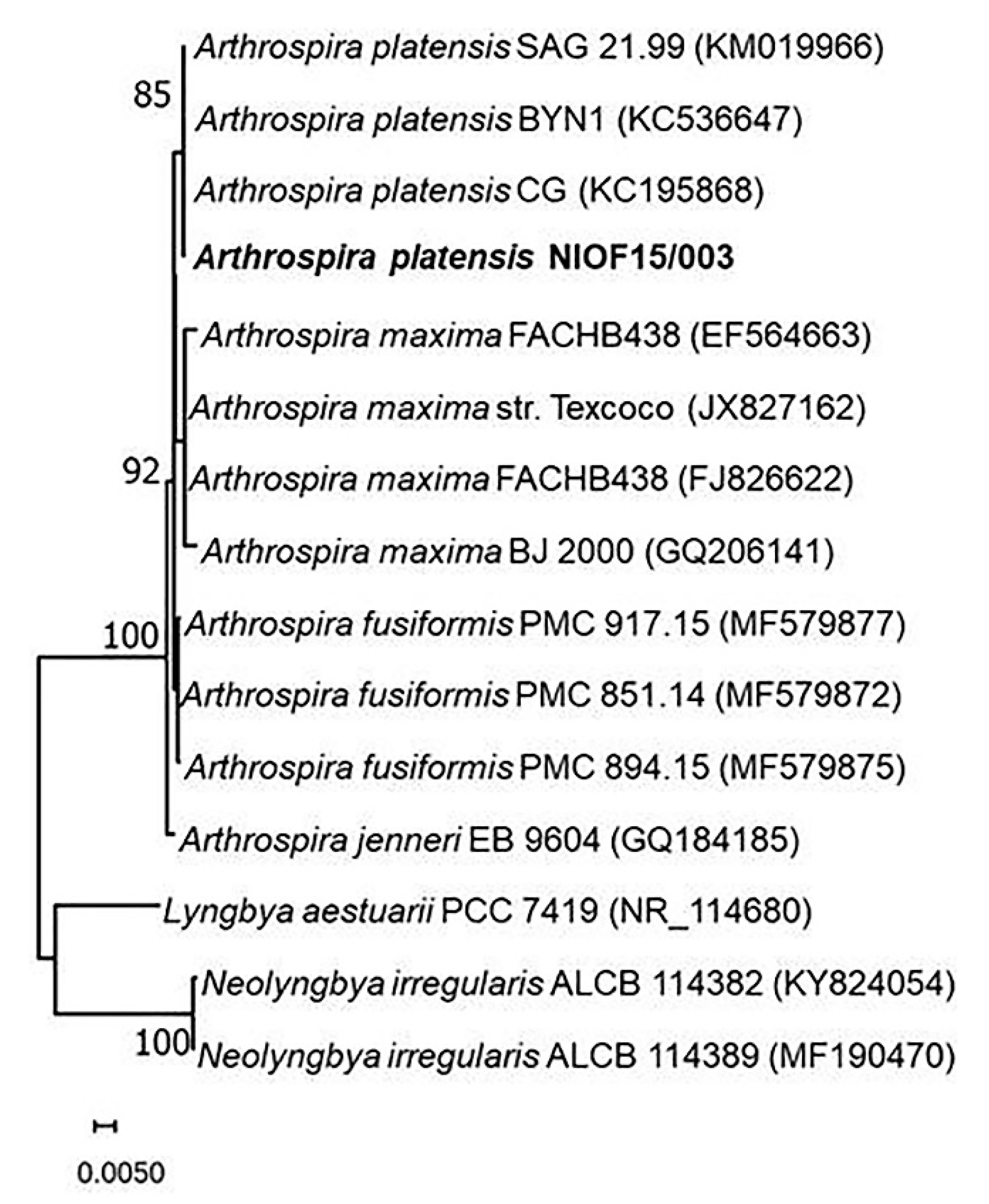 Sustainability 13 01769 g002 Sustainability 13 01769 g002