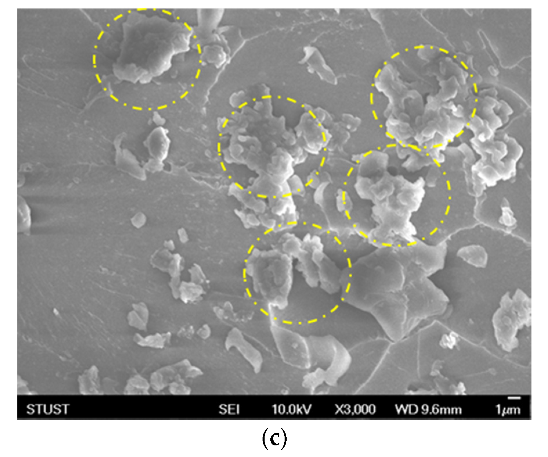 Sustainability 13 01788 g020b Sustainability 13 01788 g020b