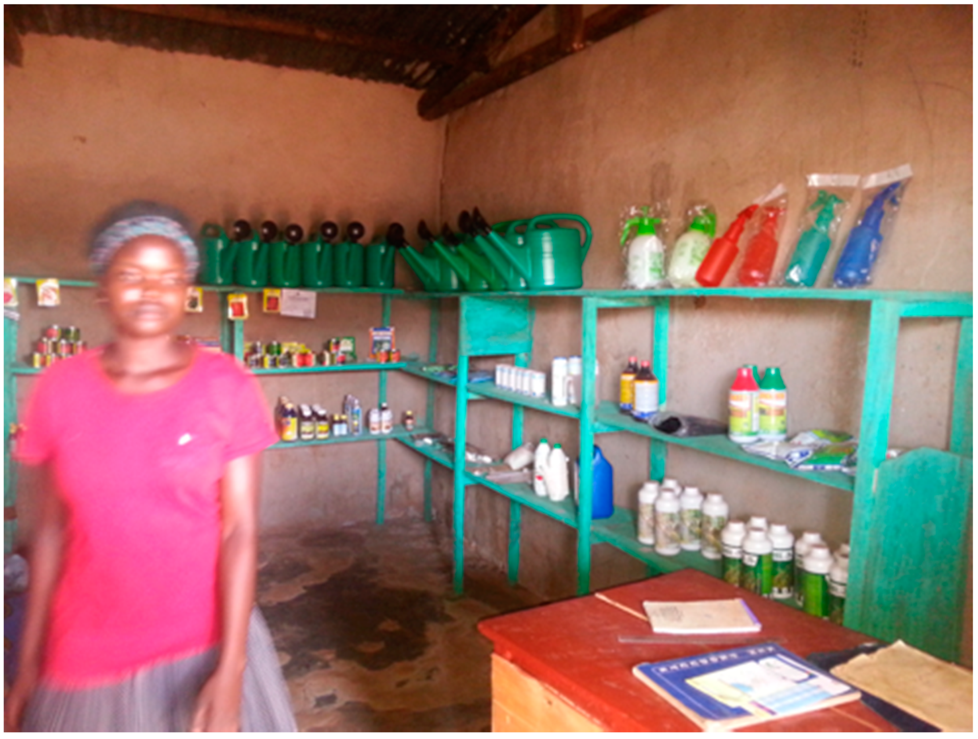 Sustainability 13 01797 sch002