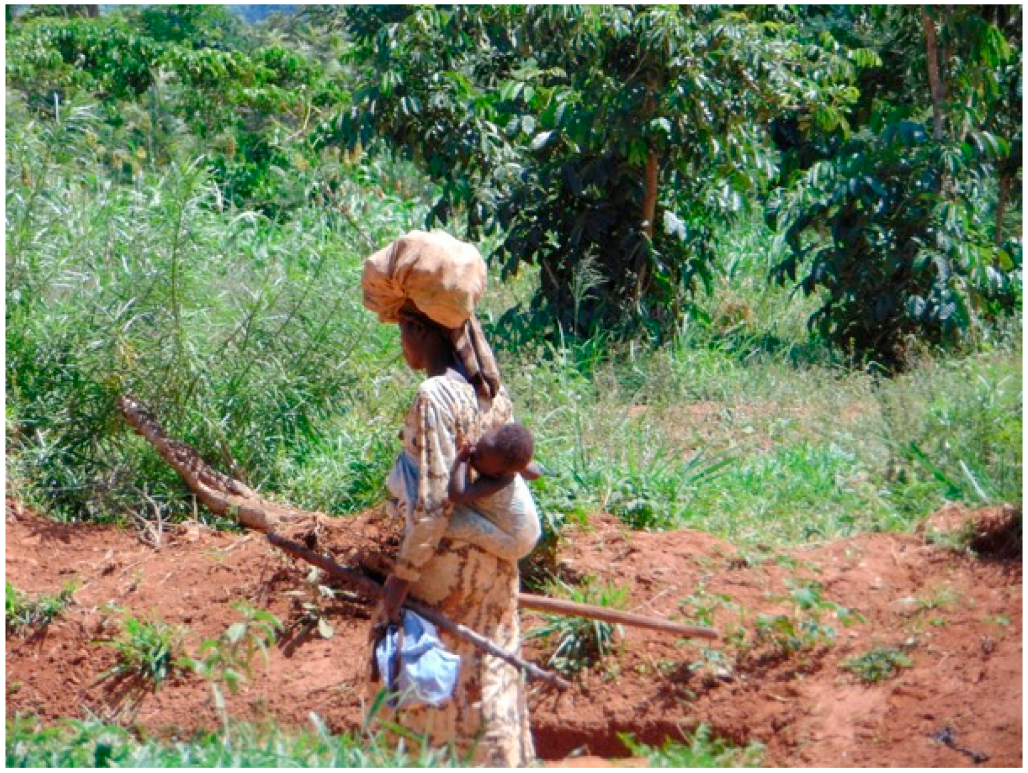 Sustainability 13 01797 sch004