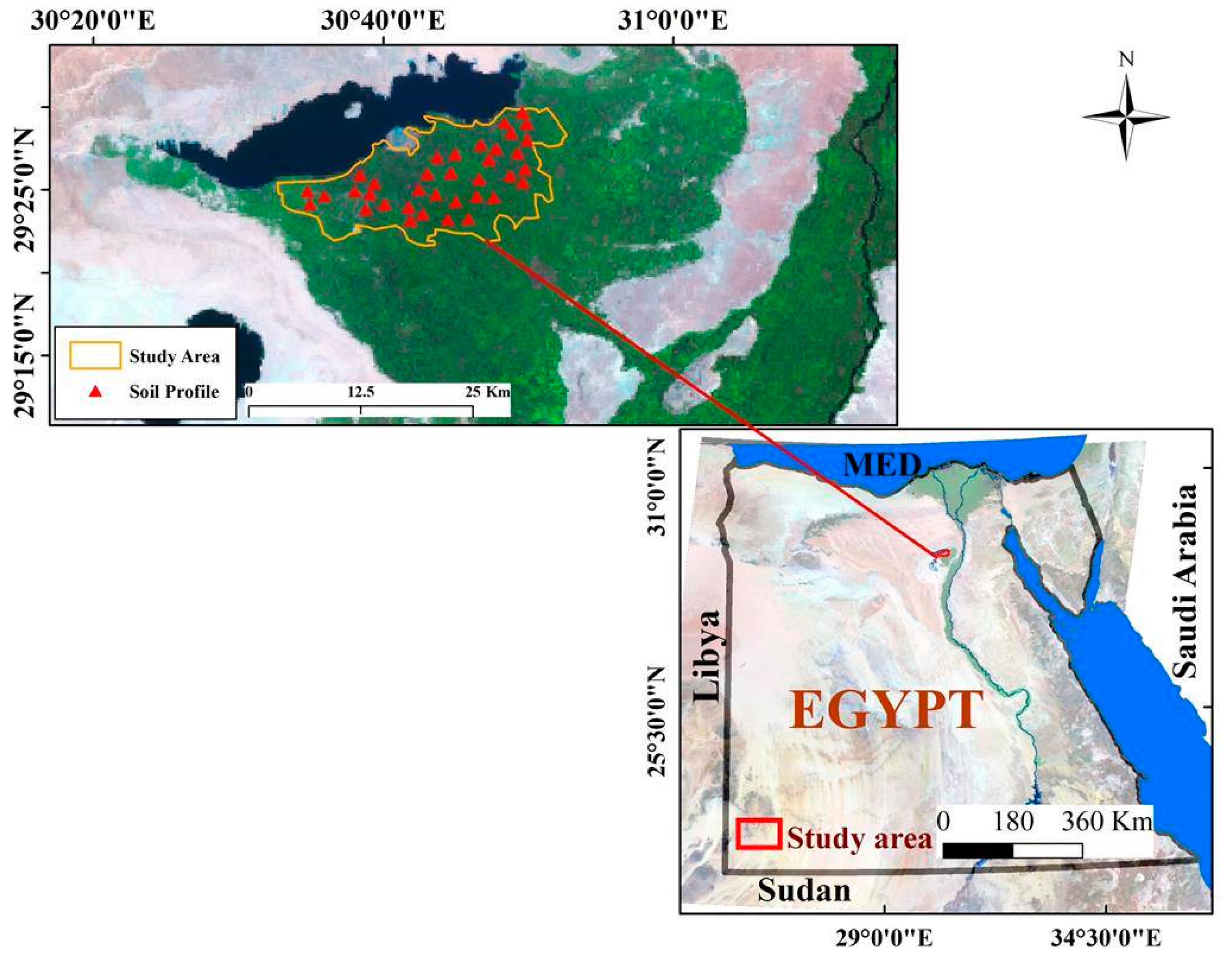 Sustainability 13 01824 g001