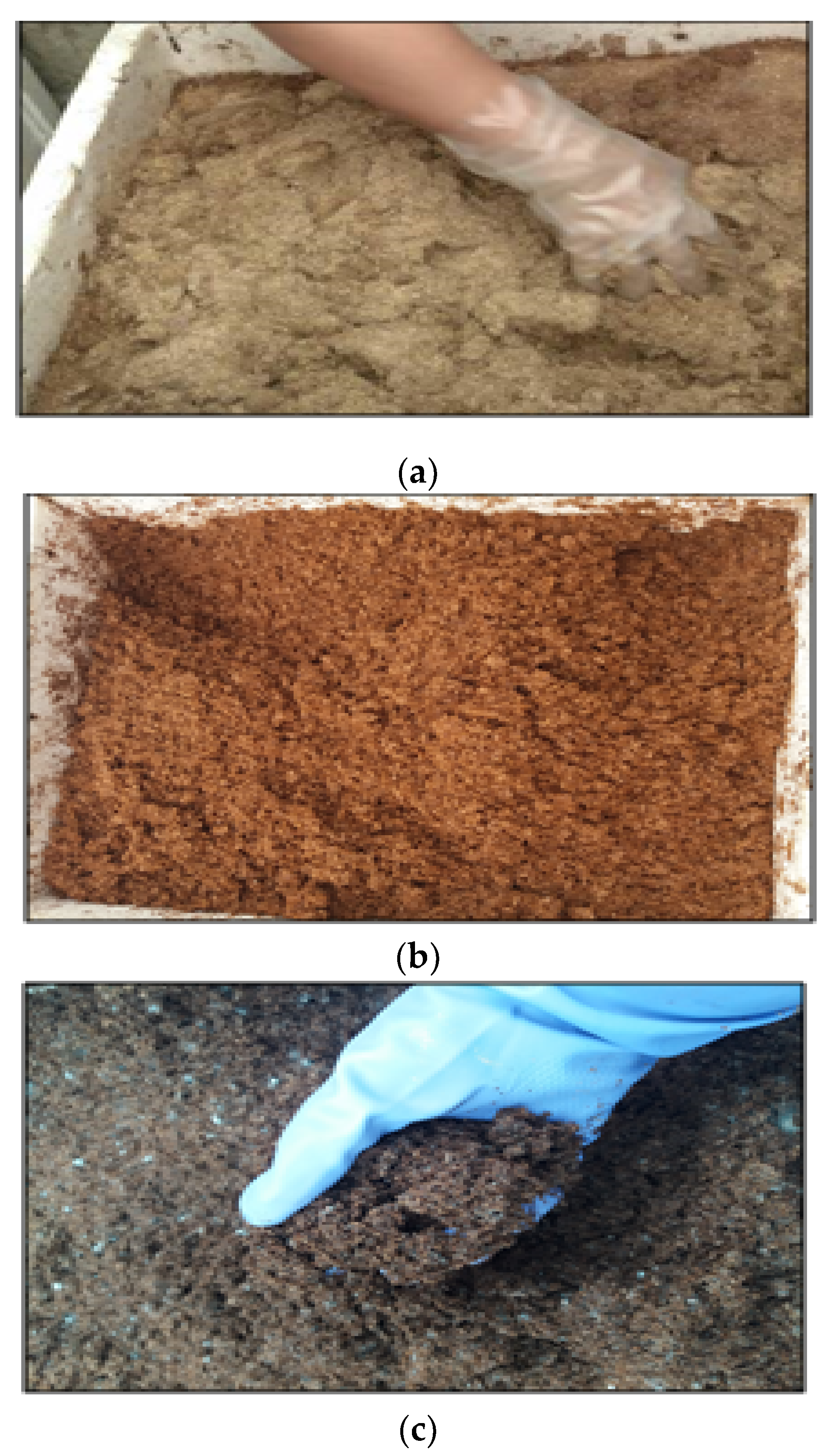 Sustainability 13 01832 g003a