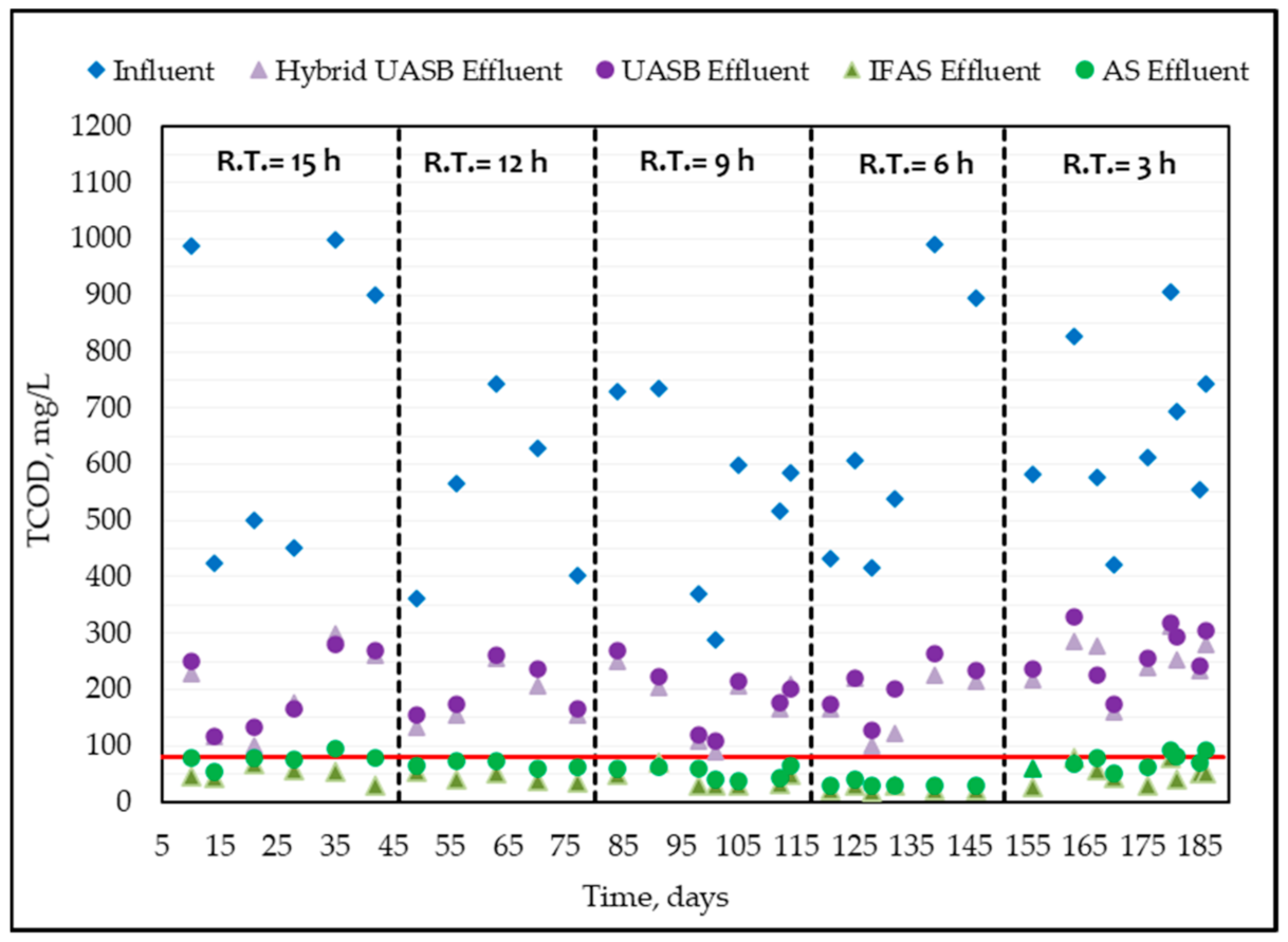 Sustainability 13 01853 g002