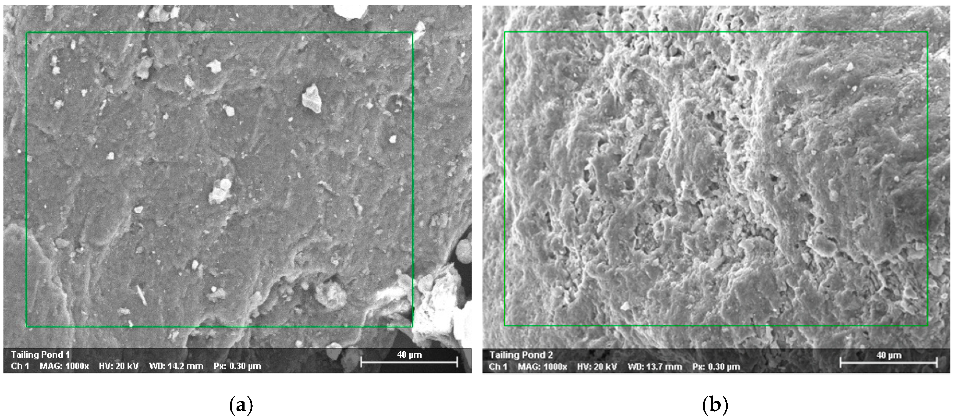 Sustainability 13 01866 g005a Sustainability 13 01866 g005a