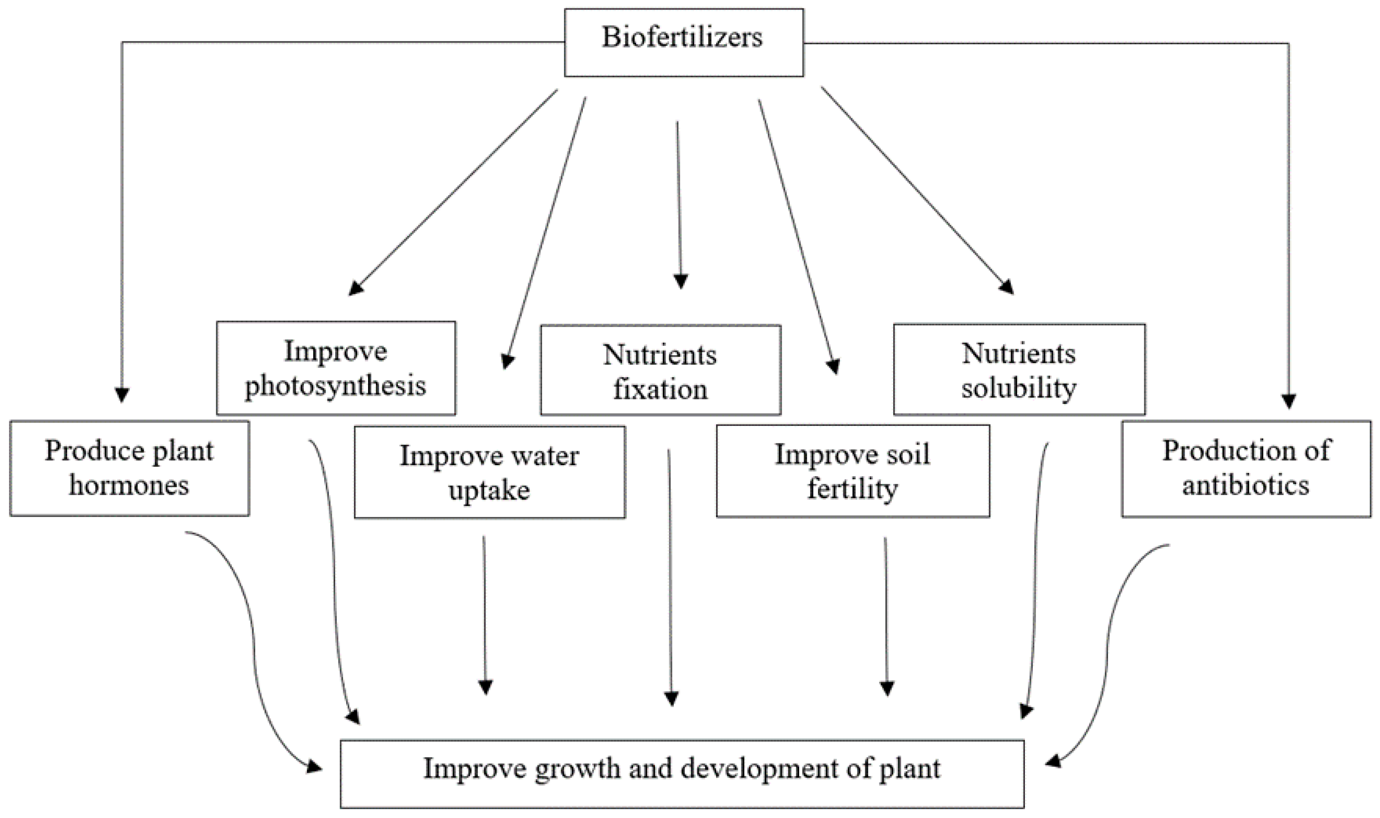 Sustainability 13 01868 g001