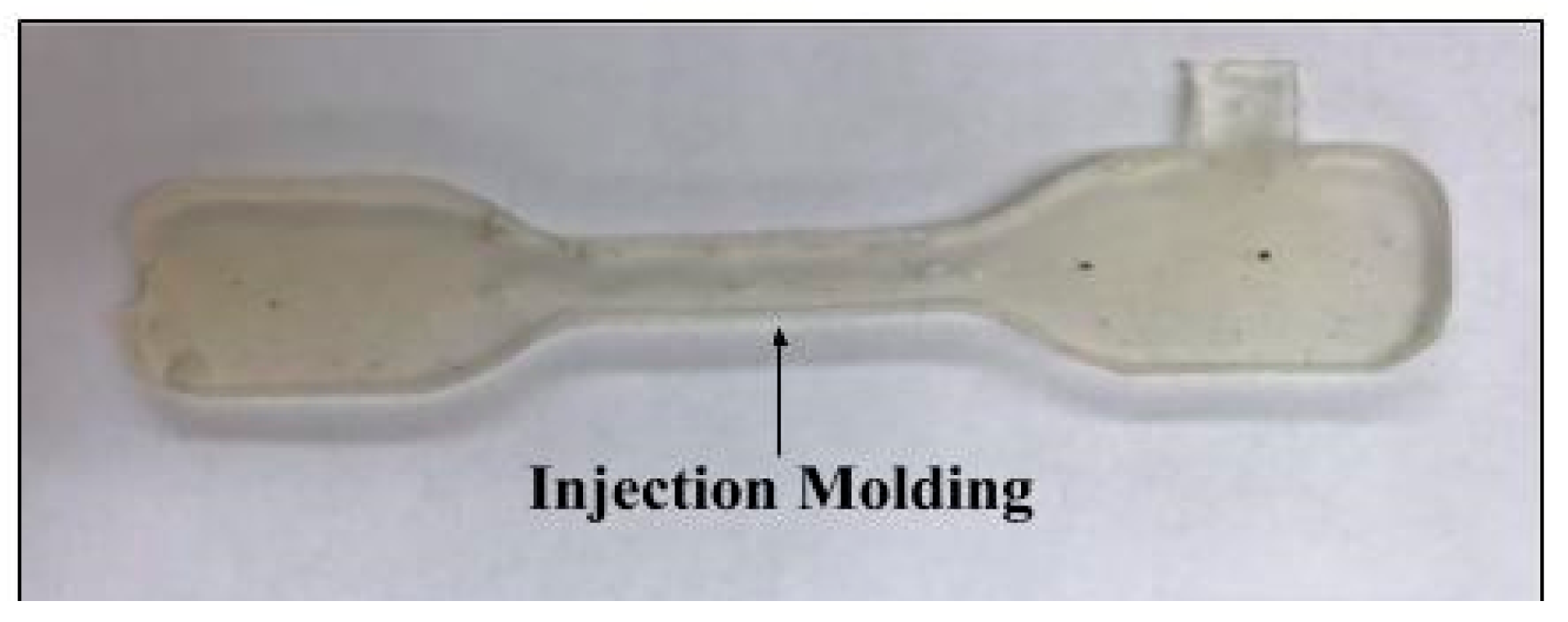 Sustainability 13 01875 g007