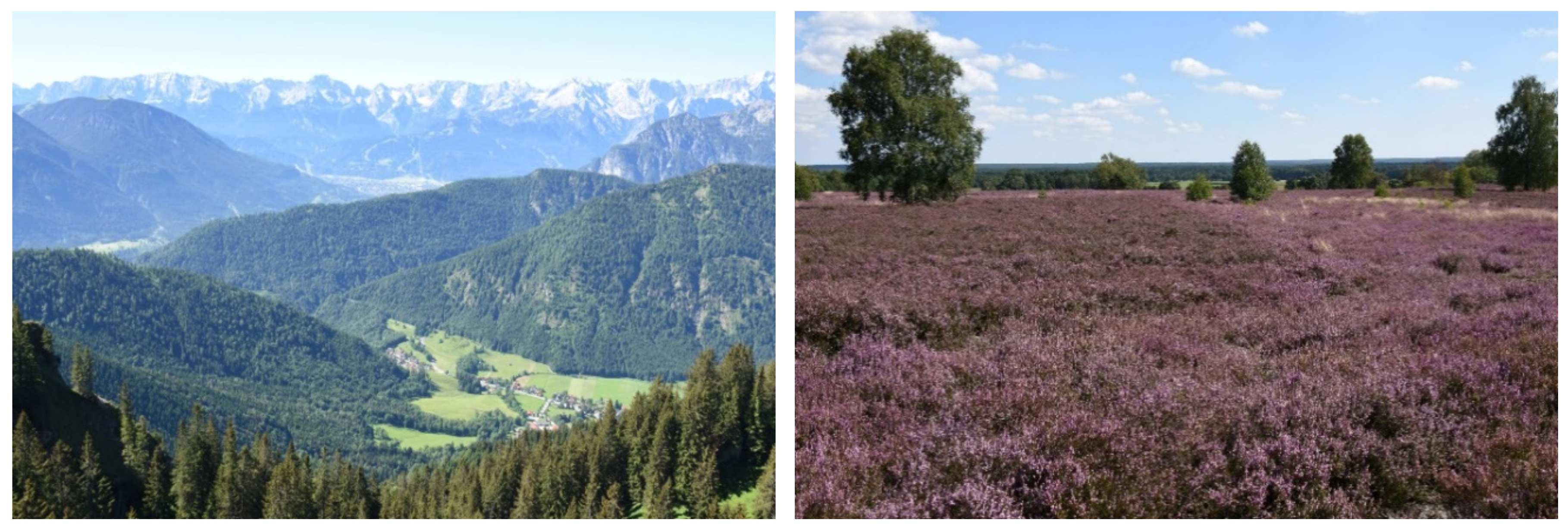 Sustainability 13 01891 g003 Sustainability 13 01891 g003