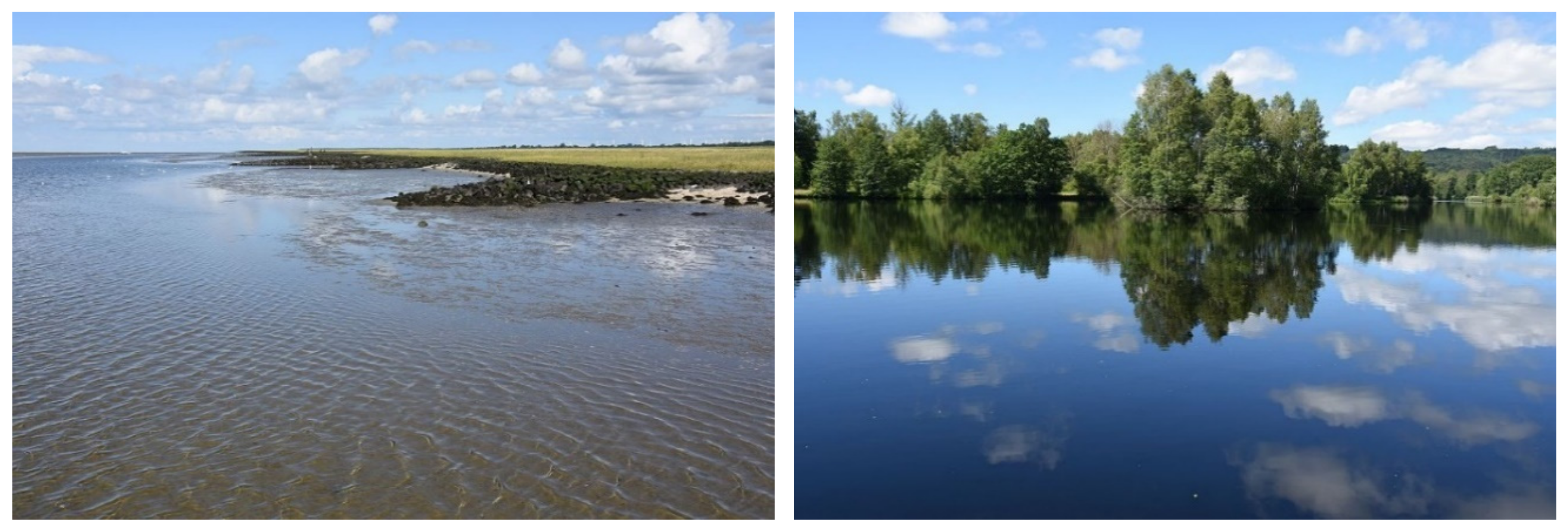 Sustainability 13 01891 g004 Sustainability 13 01891 g004