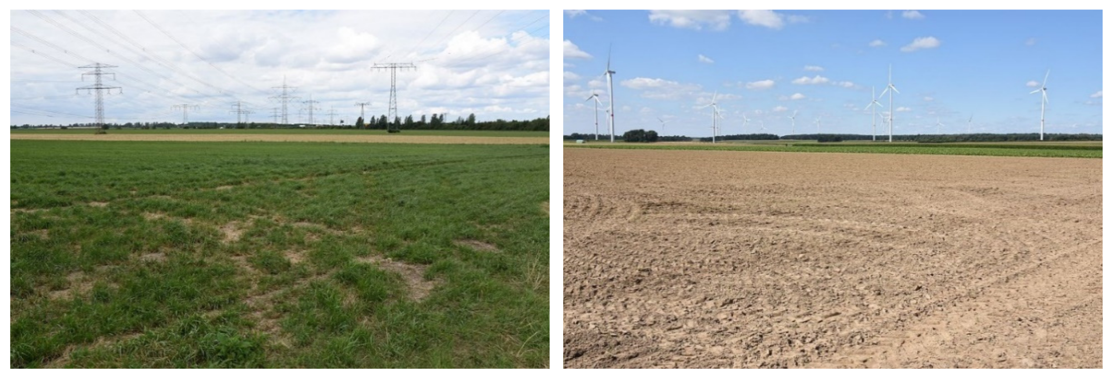 Sustainability 13 01891 g006 Sustainability 13 01891 g006