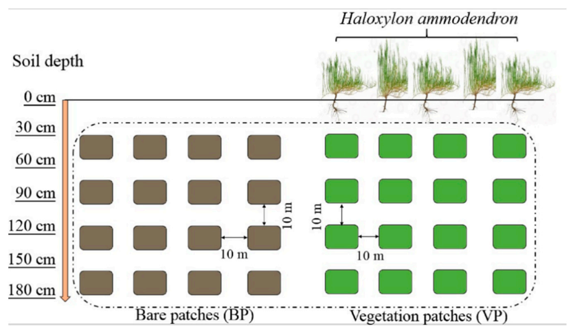 Sustainability 13 01908 g003