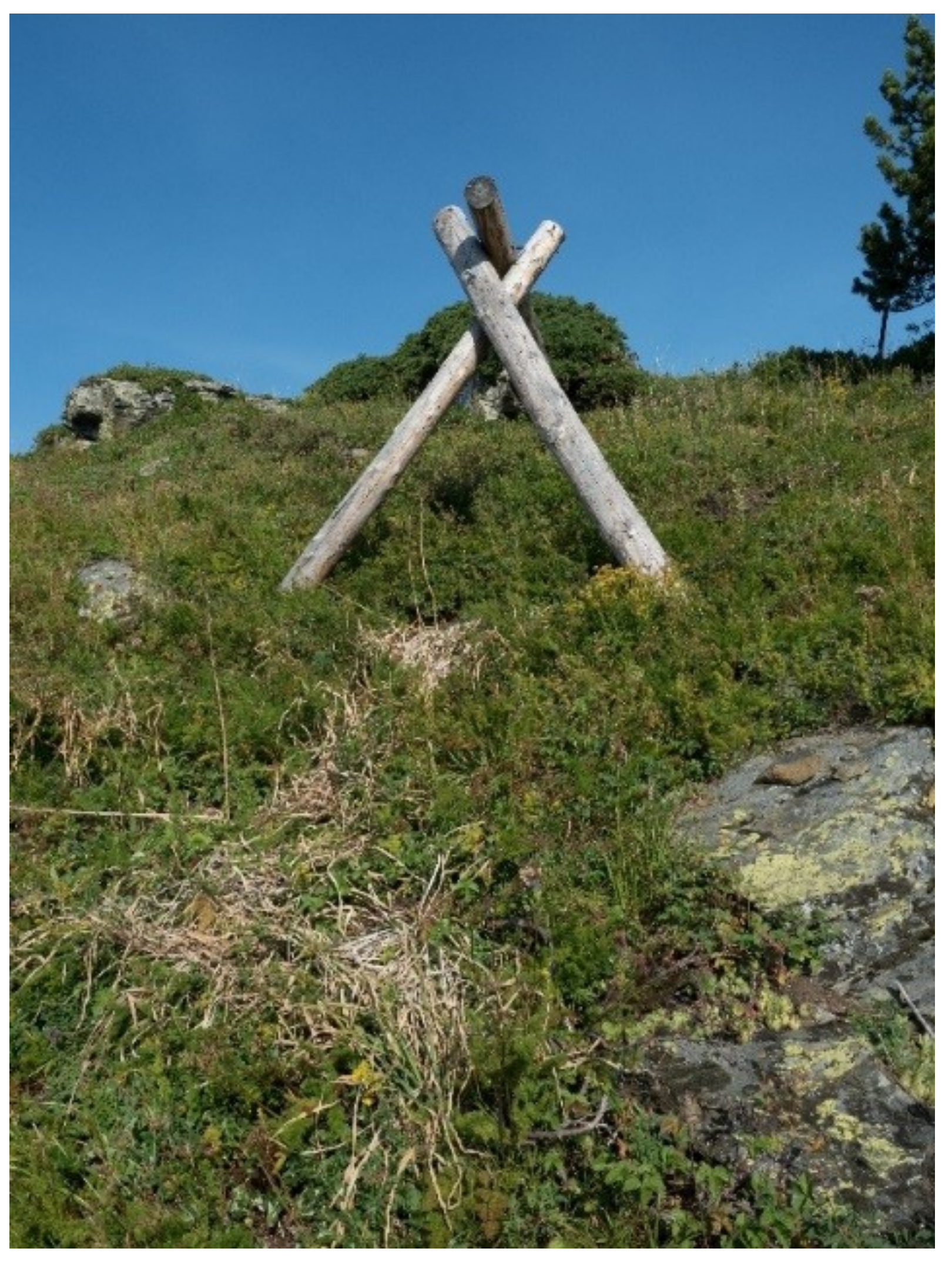 Sustainability 13 01913 g002