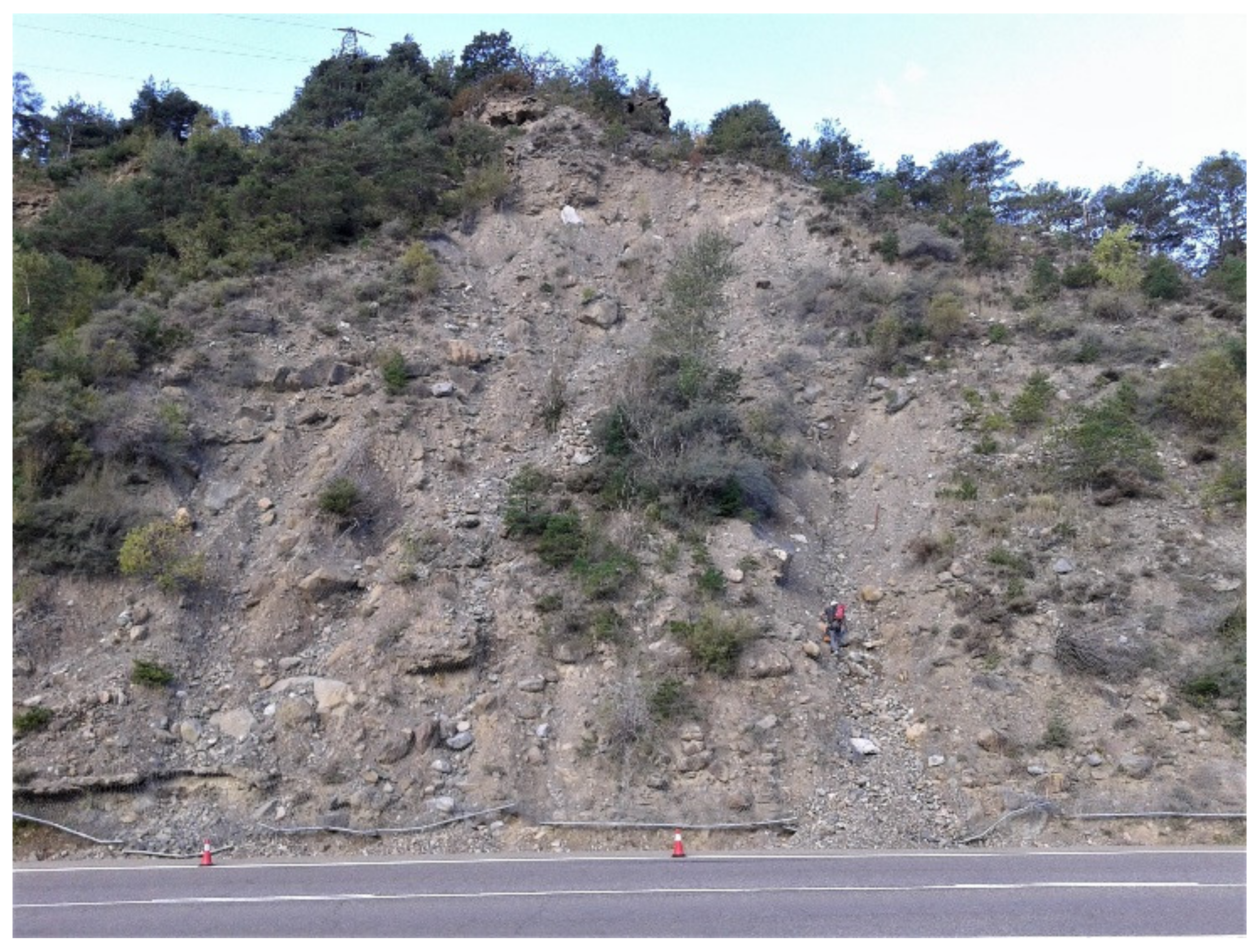 Sustainability 13 01913 g003