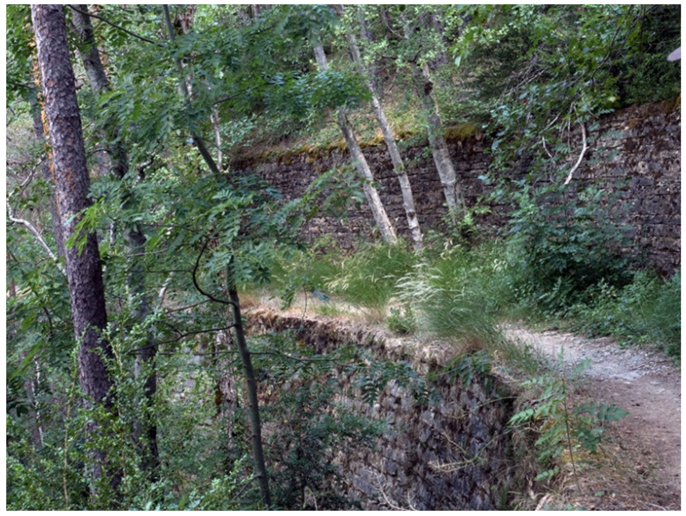 Sustainability 13 01913 g004