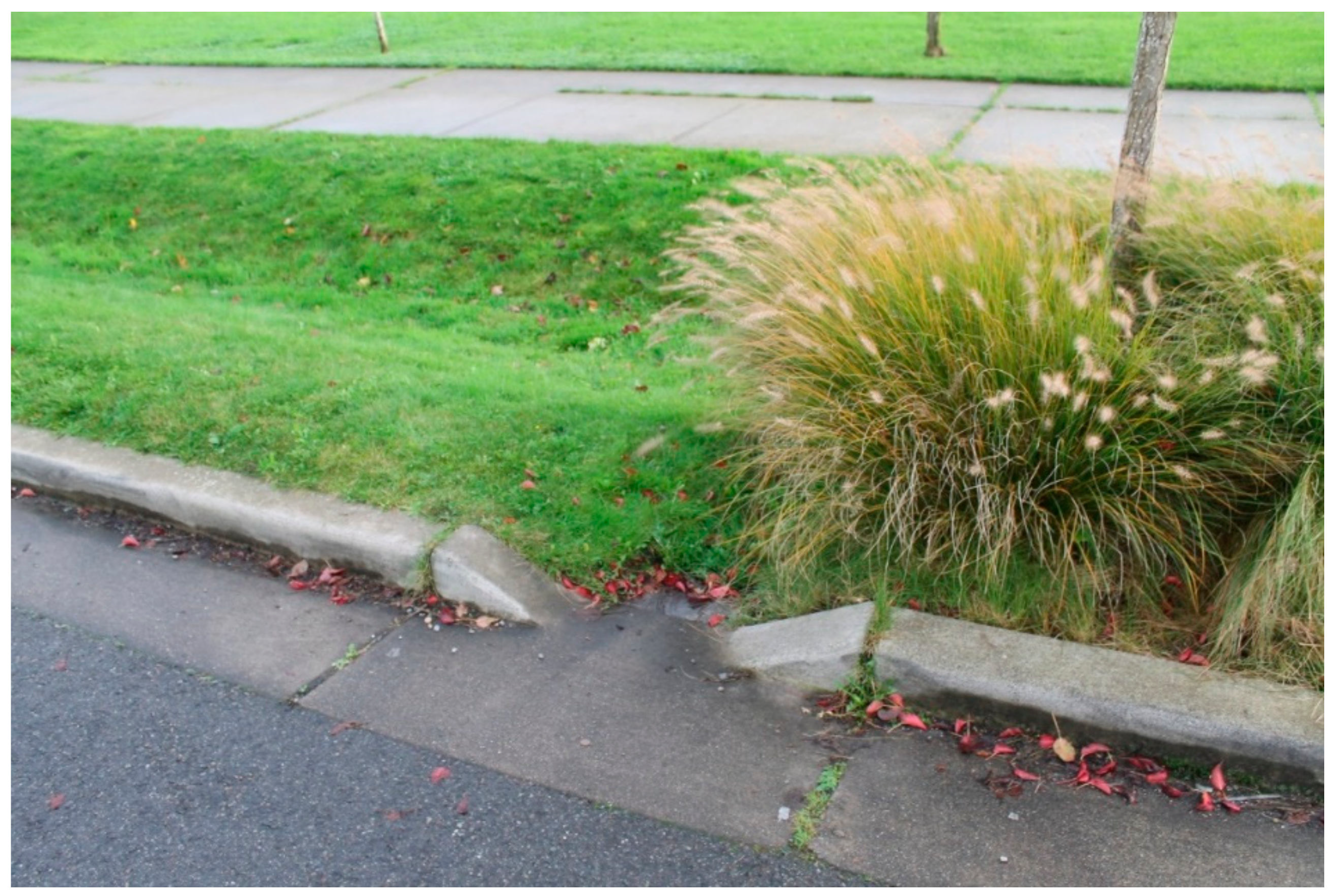 Sustainability 13 01916 g001