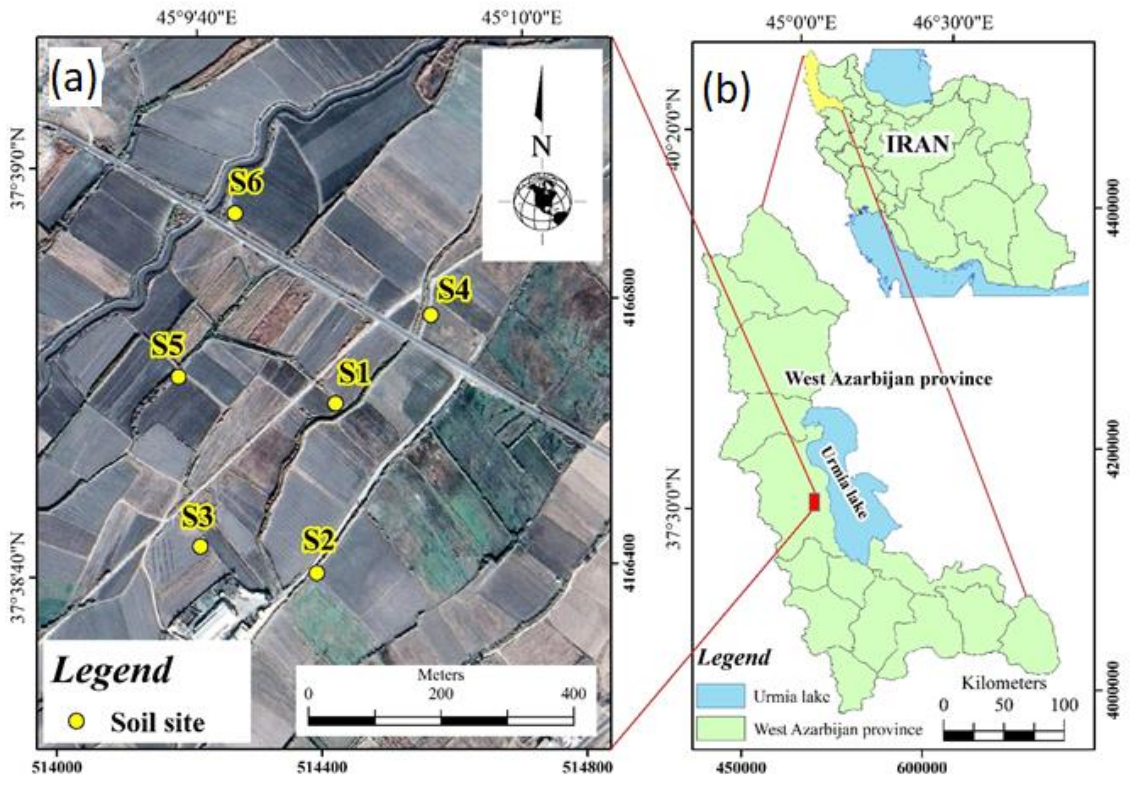 Sustainability 13 01952 g001