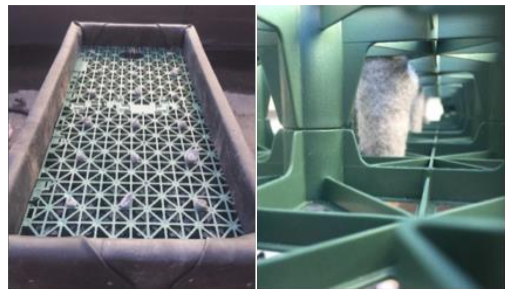 Sustainability 13 01972 g001