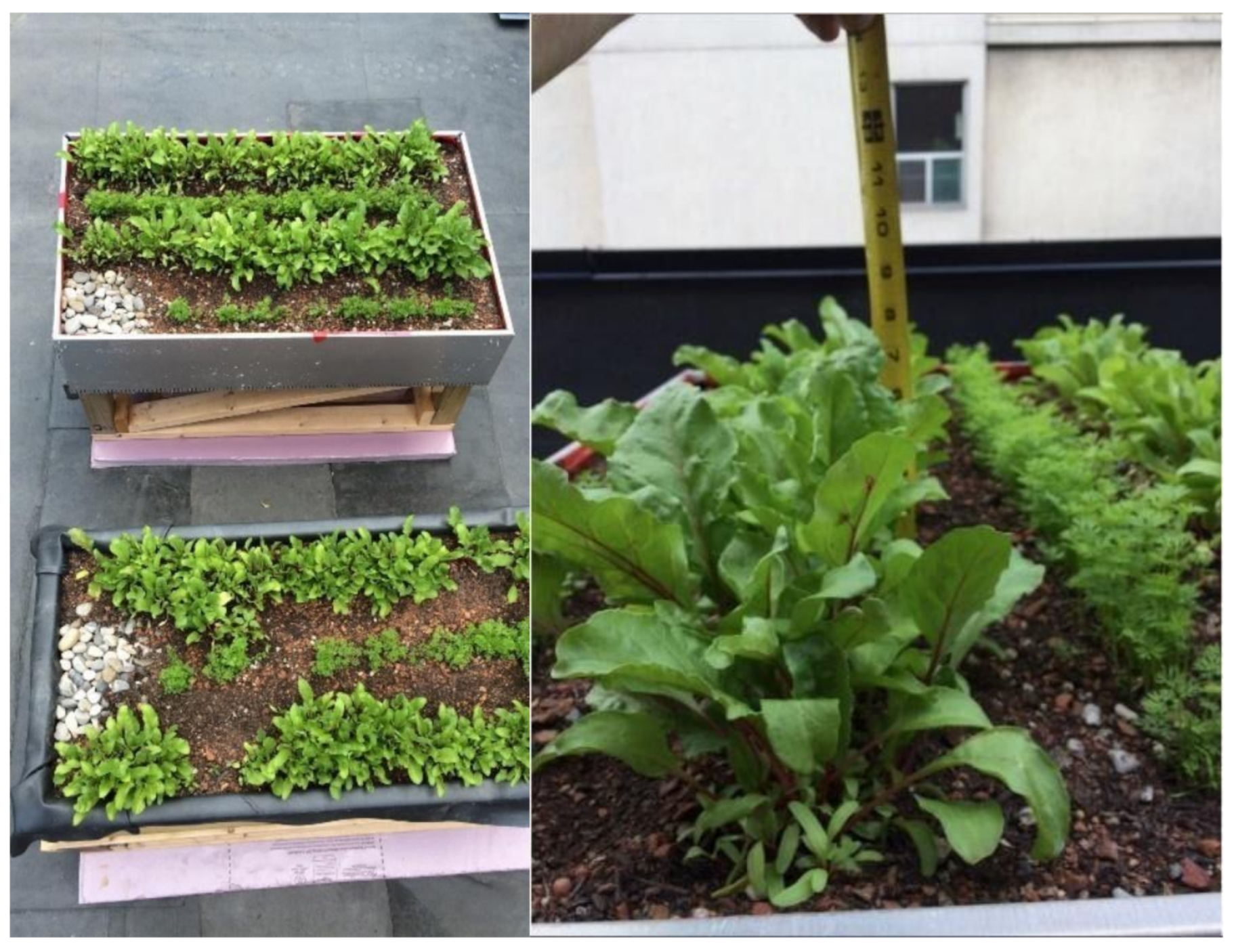 Sustainability 13 01972 g003