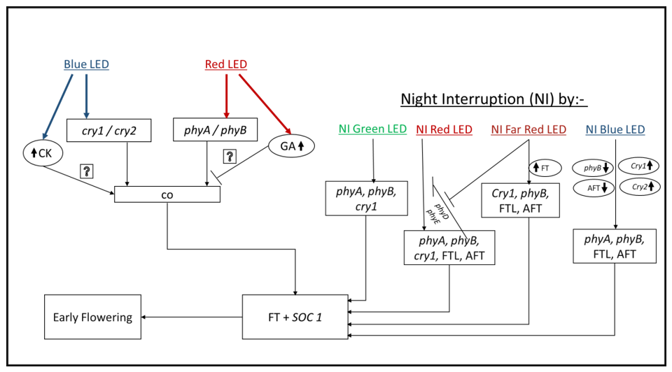Sustainability 13 01985 g002