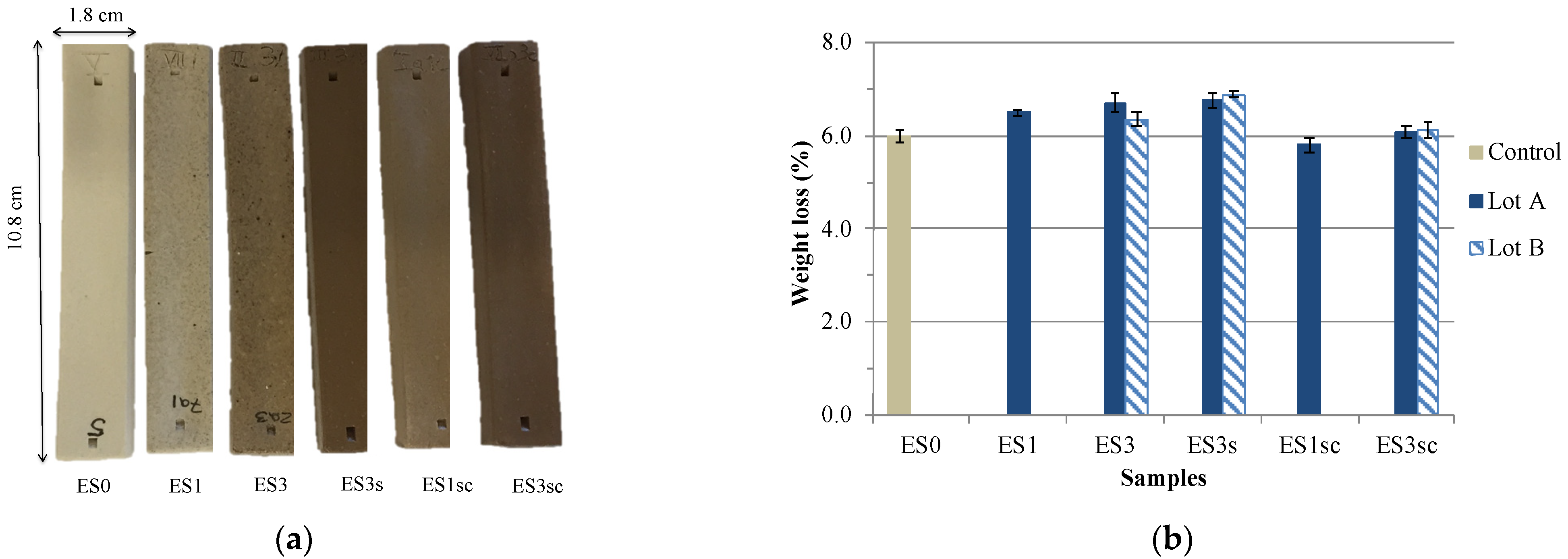 Sustainability 13 01999 g003