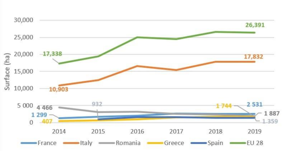 Sustainability 13 02001 g002 Sustainability 13 02001 g002