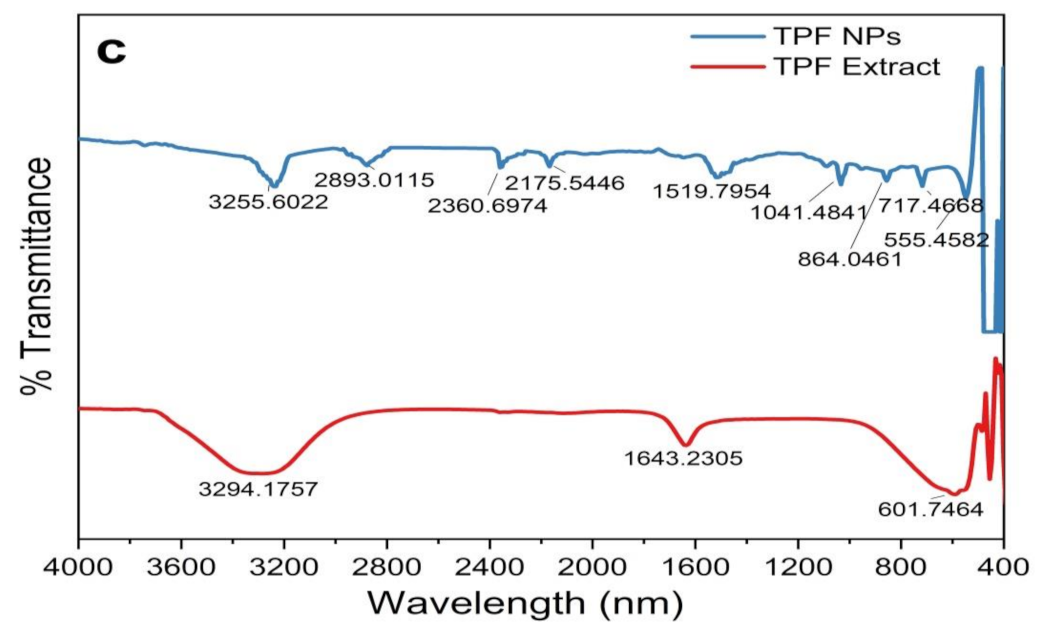 Sustainability 13 02004 g005b
