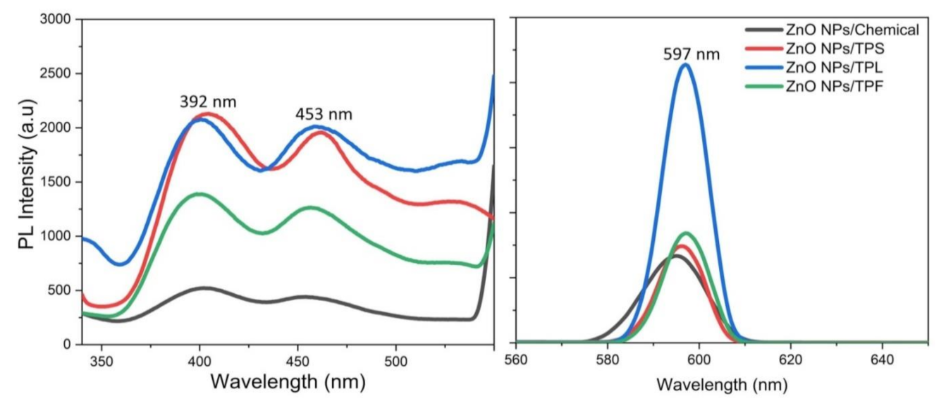 Sustainability 13 02004 g009