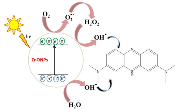 Sustainability 13 02004 g011