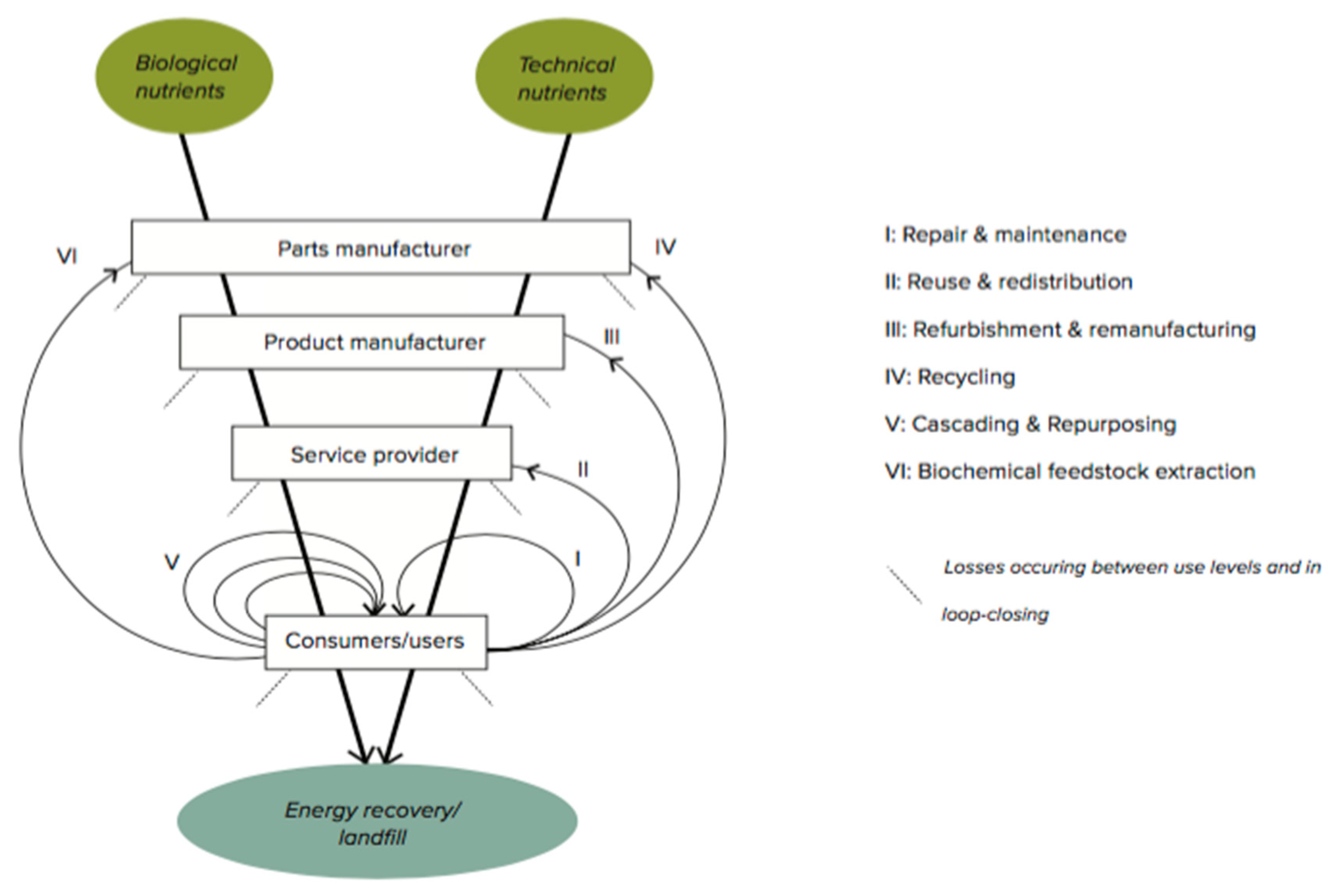 Sustainability 13 02007 g001