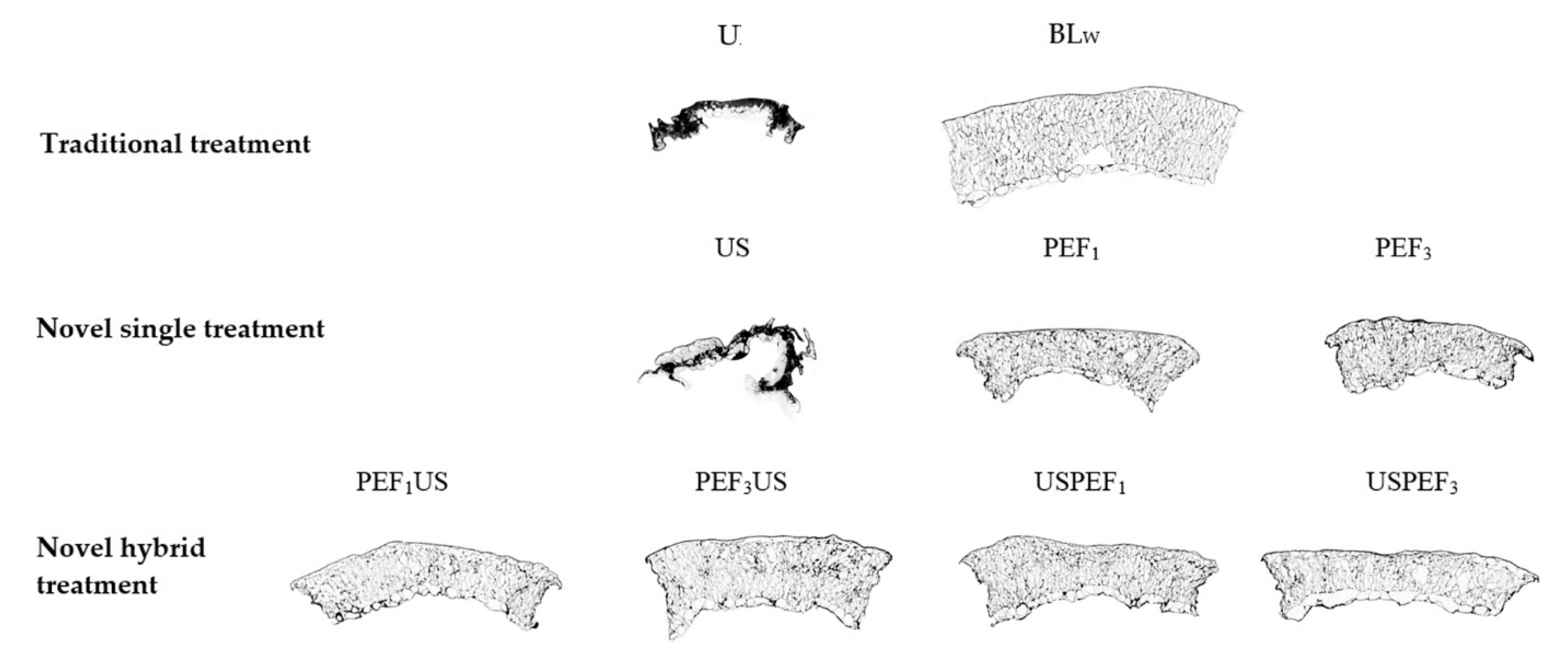 Sustainability 13 02035 g003