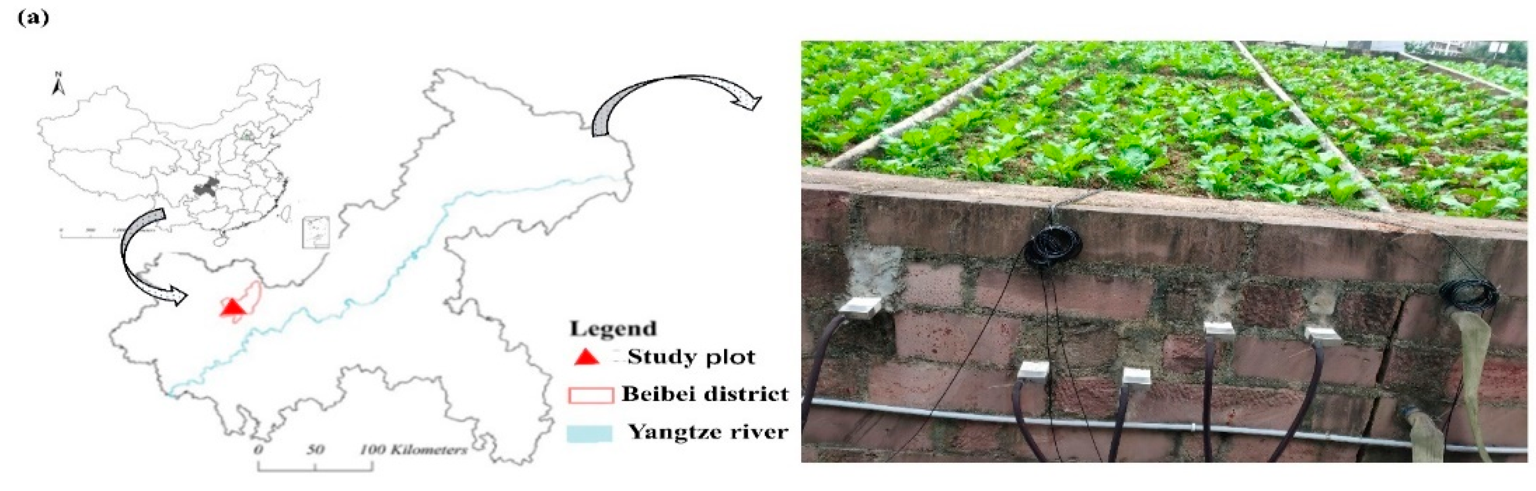 Sustainability 13 02050 g001a