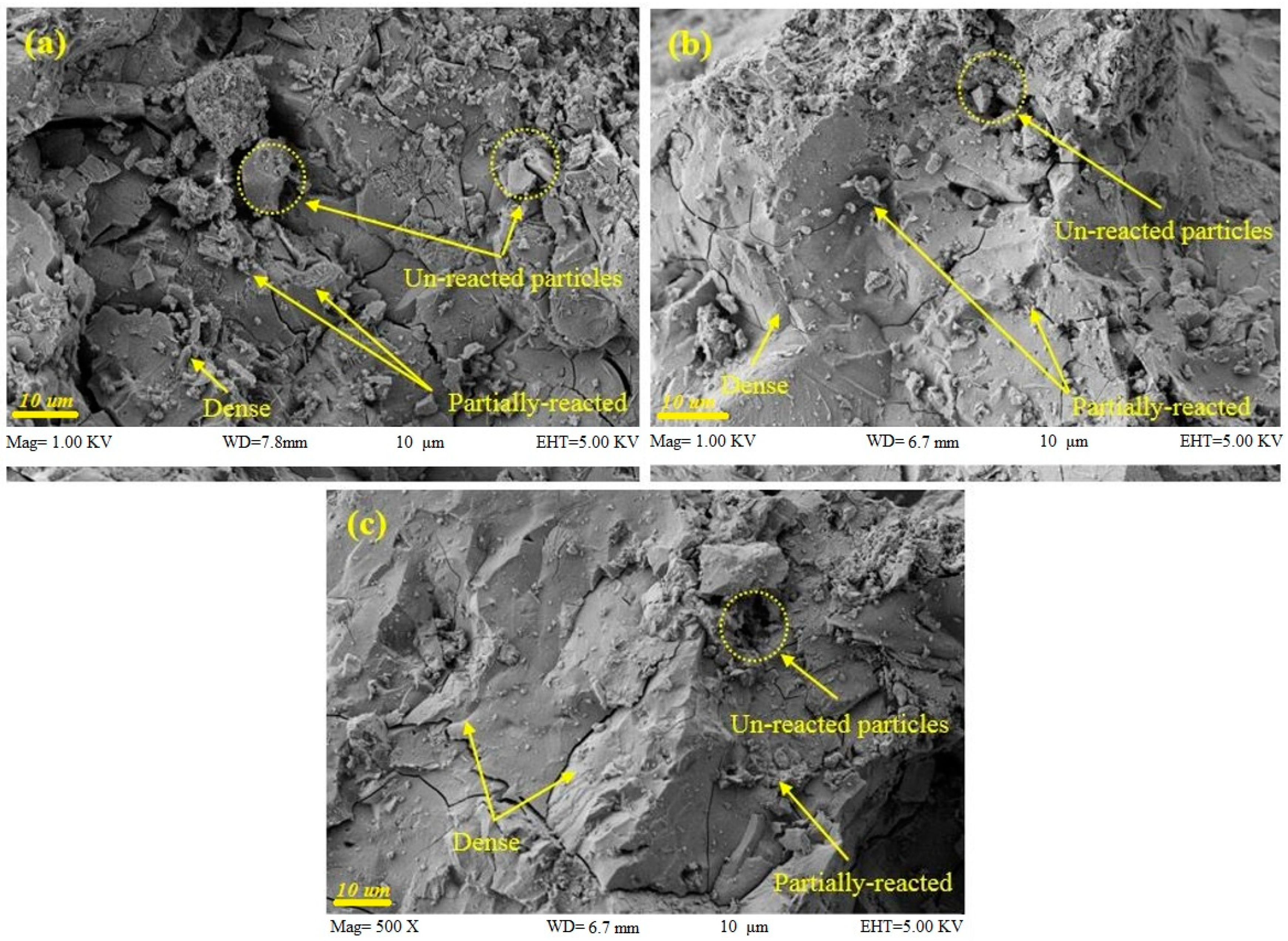 Sustainability 13 02062 g004