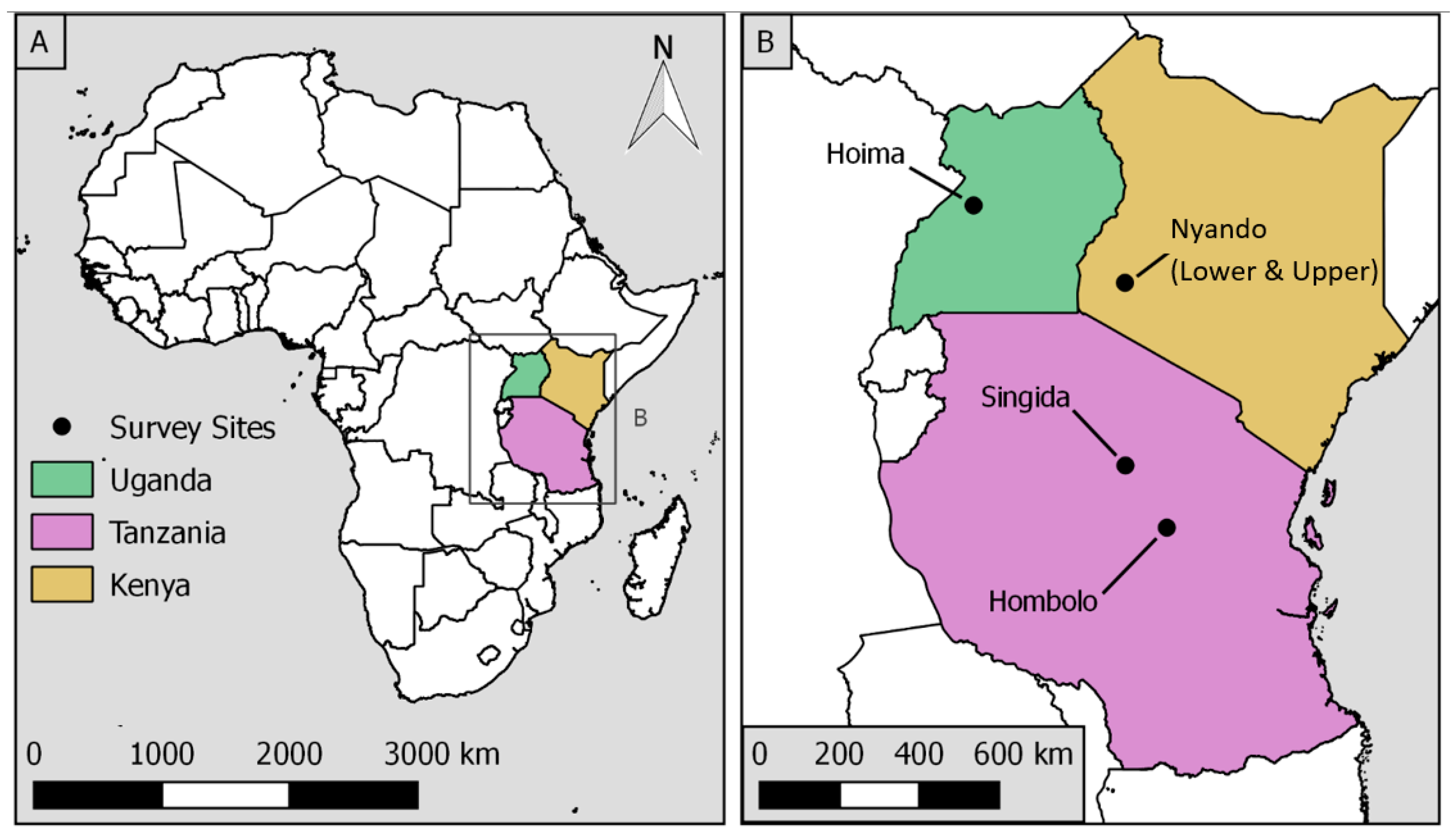 Sustainability 13 02074 g001