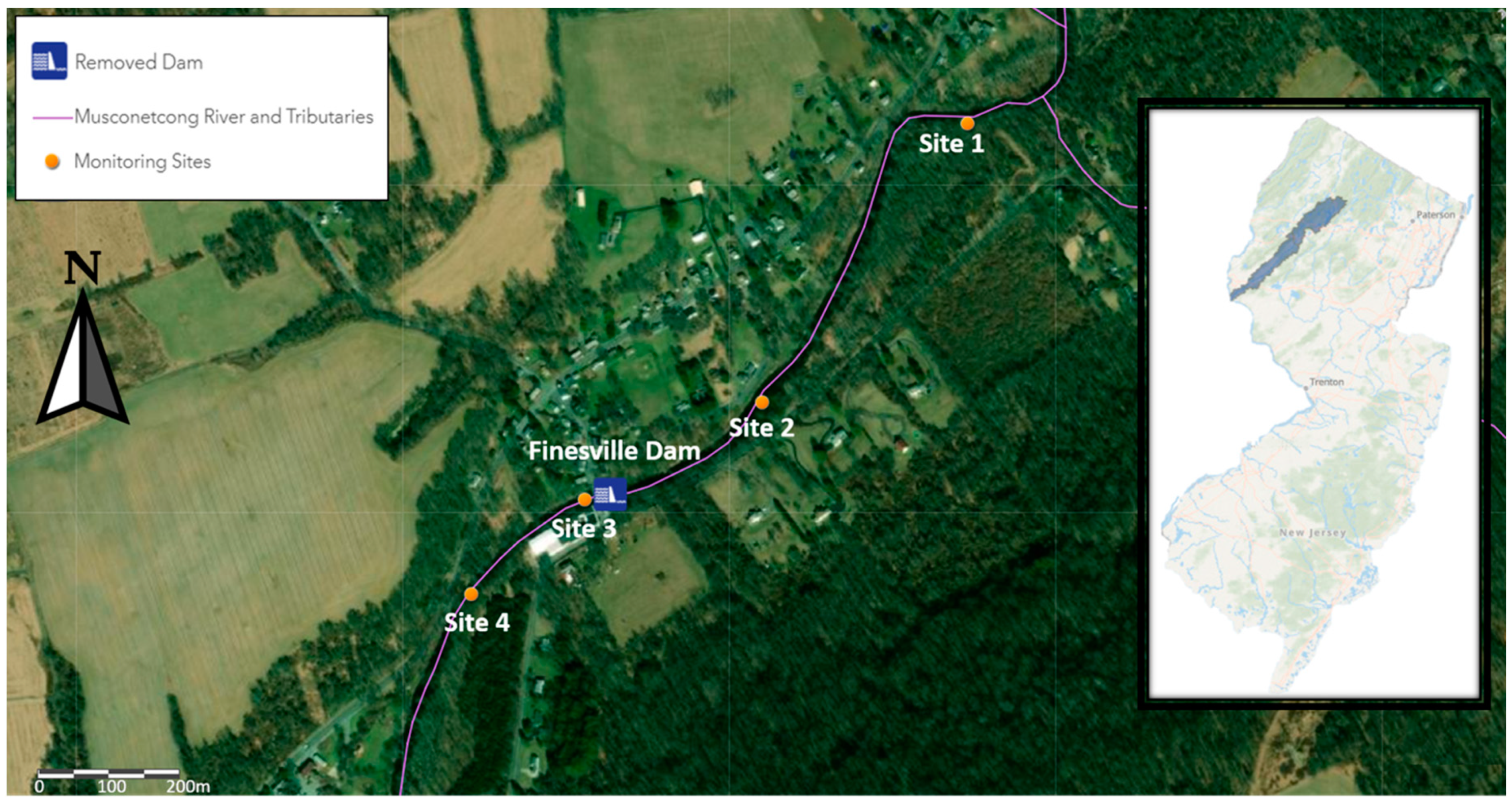 Sustainability 13 02102 g001 Sustainability 13 02102 g001