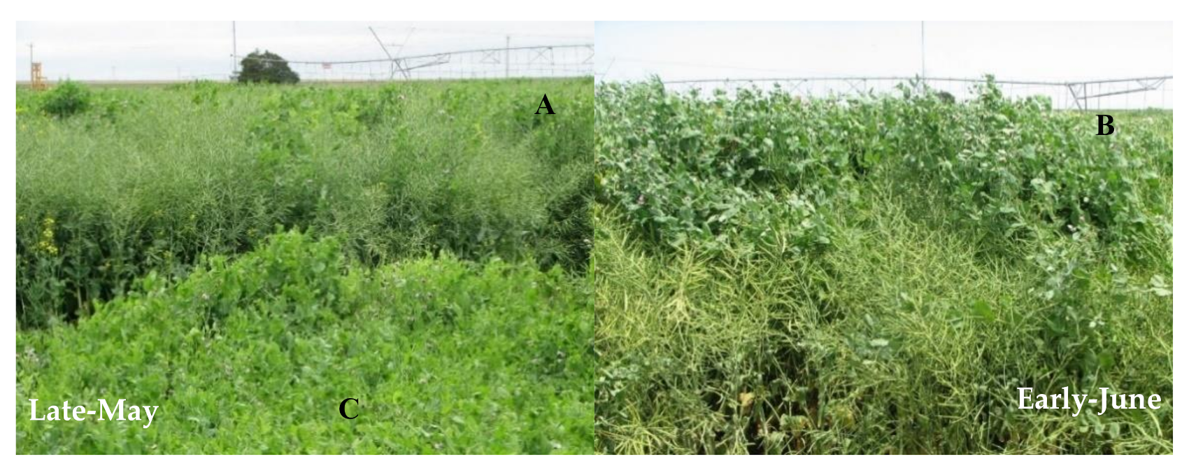 Sustainability 13 02122 g005