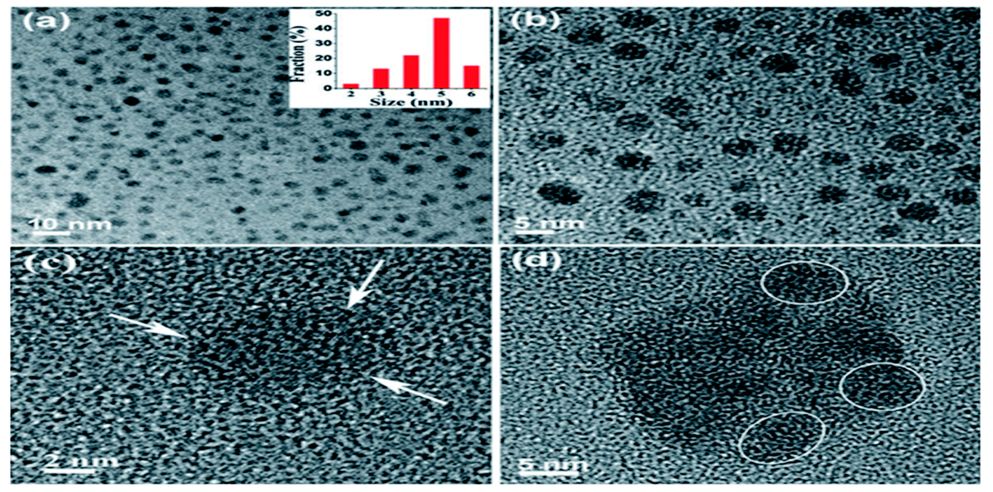 Sustainability 13 02127 g003