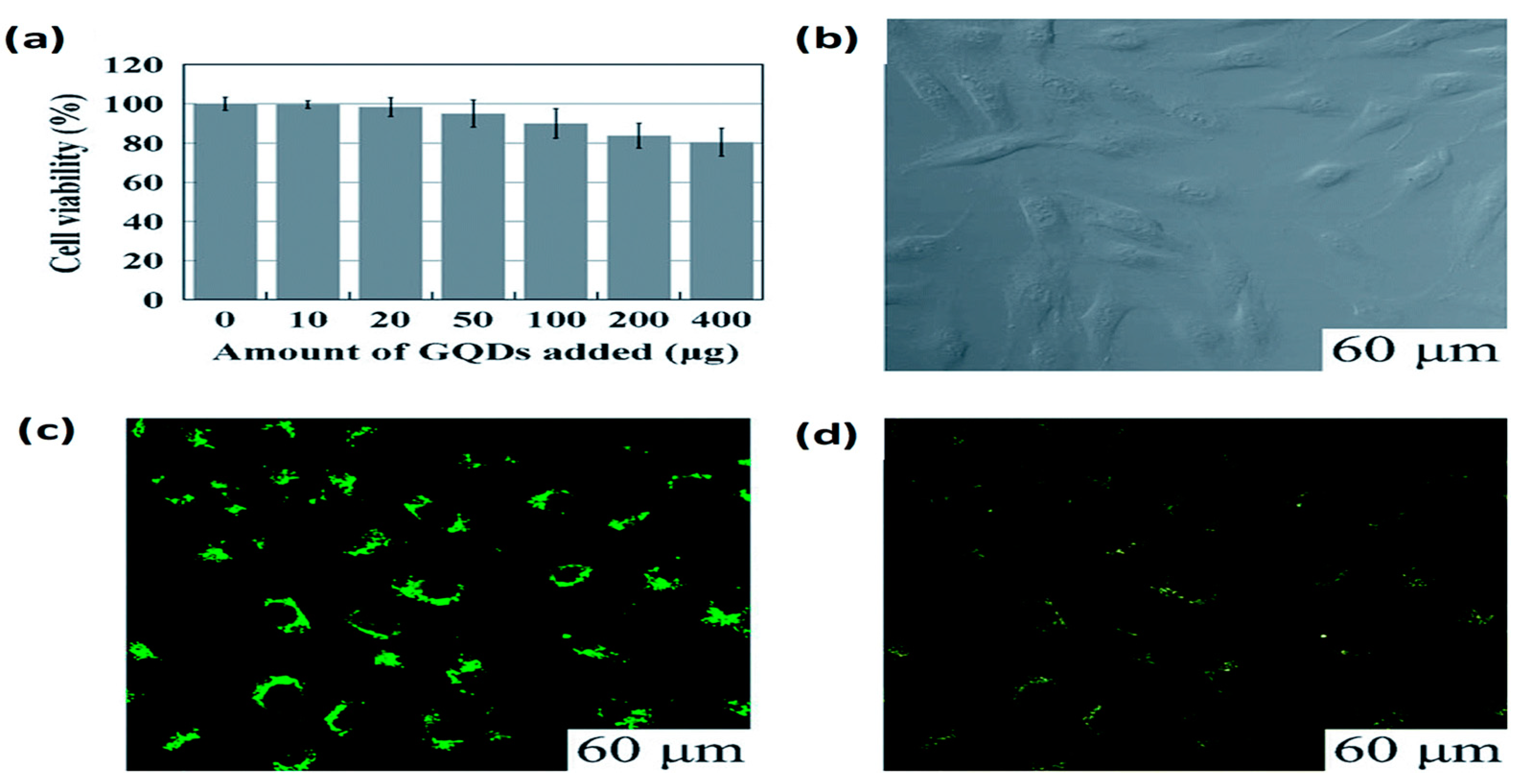 Sustainability 13 02127 g008