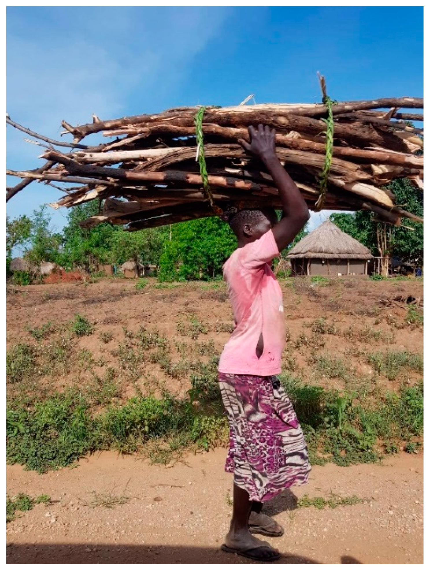 Sustainability 13 02134 g005 Sustainability 13 02134 g005