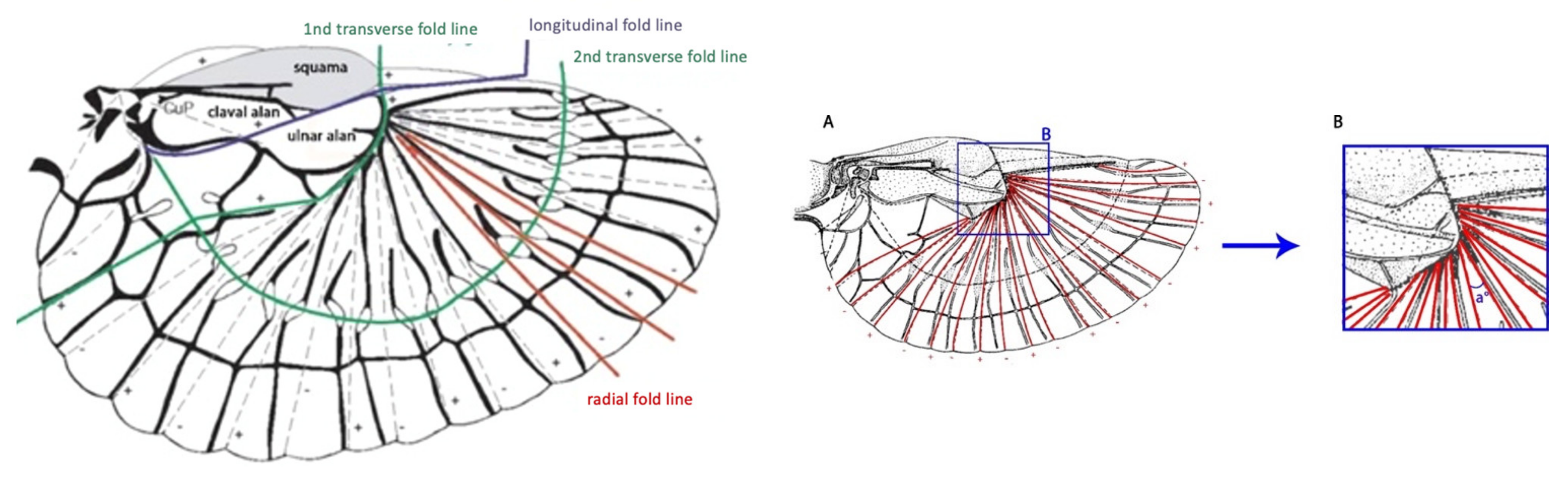 Sustainability 13 02138 g011