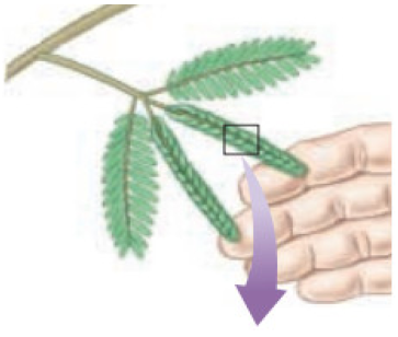 Sustainability 13 02138 i001