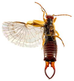 Sustainability 13 02138 i002