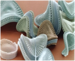 Sustainability 13 02138 i005